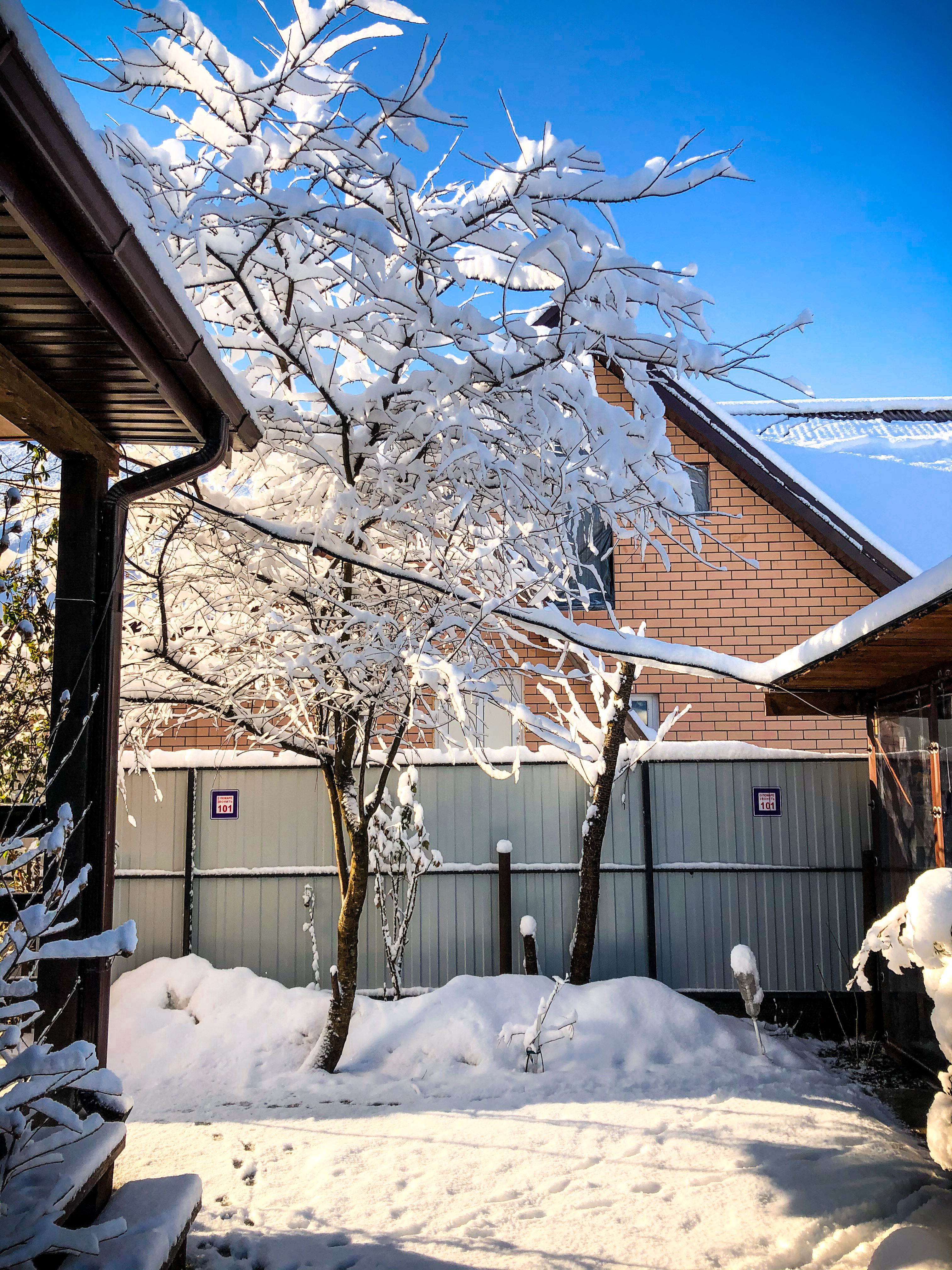 Фото Зелёный уголок