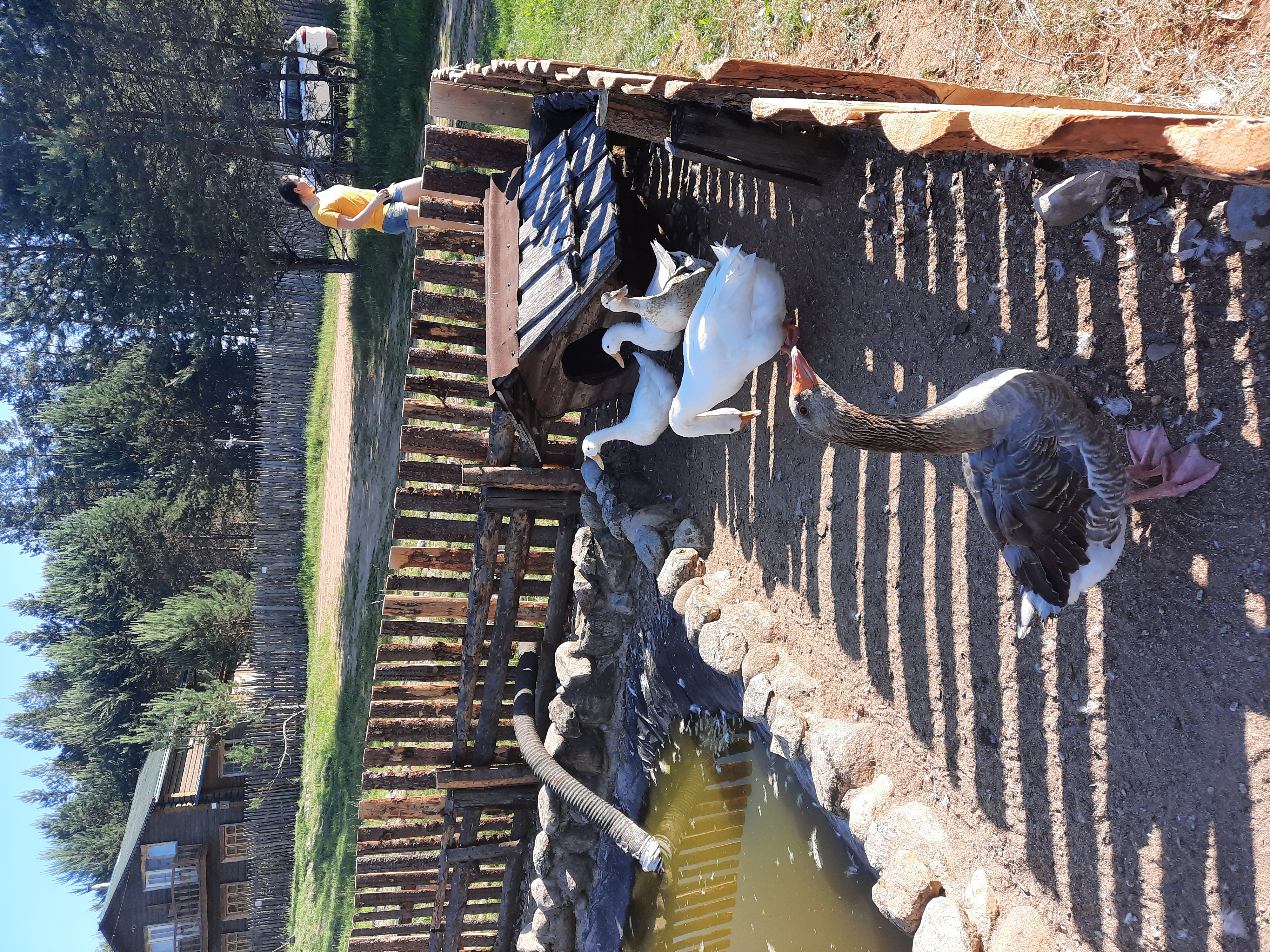 Фото Киногородок