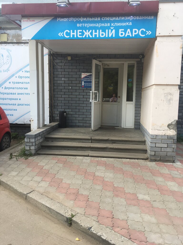 Снежный барс ул германа лопатина 6б фото