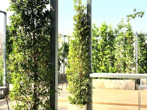 Фото Por Santitham