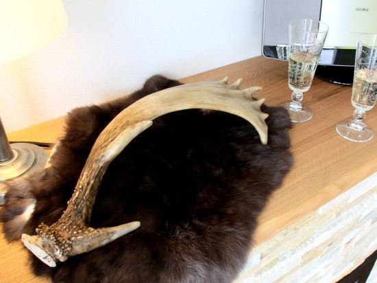 Фото Ferienwohnung Königsschlösser