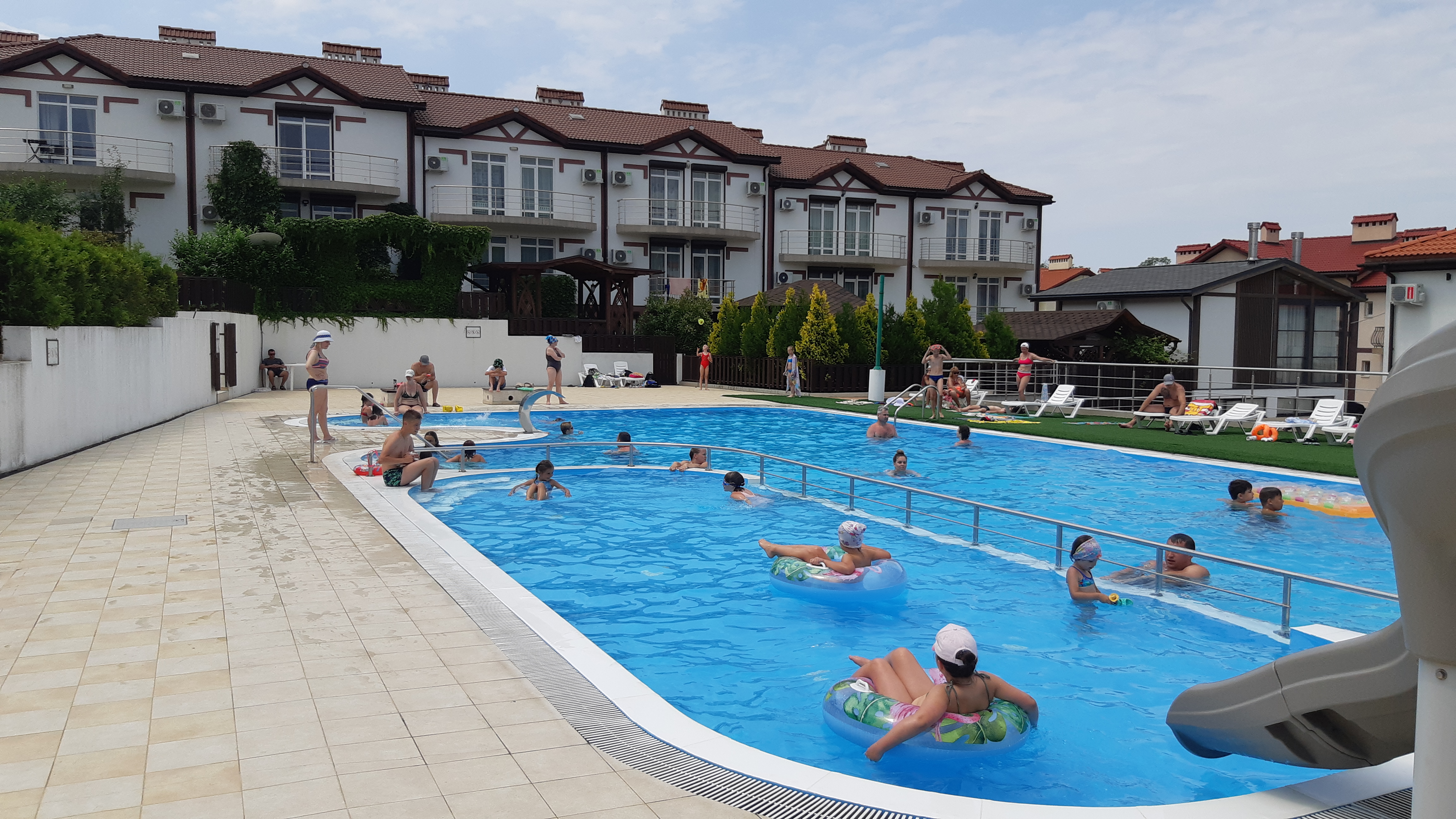 Фото Кедровая роща