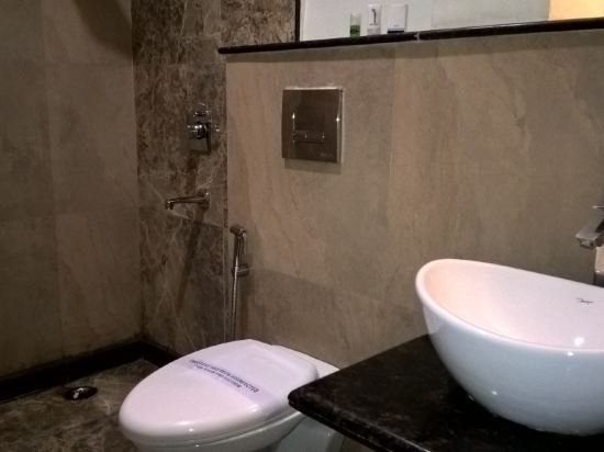 Фото Hotel Mahendra