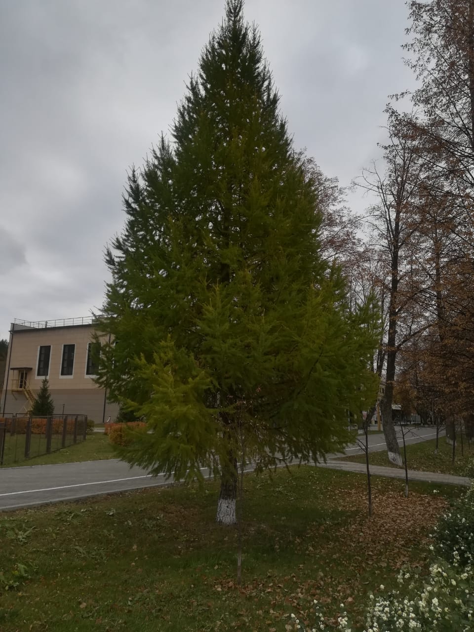 Фото Курорт Ключи