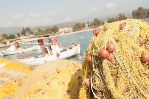 Фото Vasilis Studios