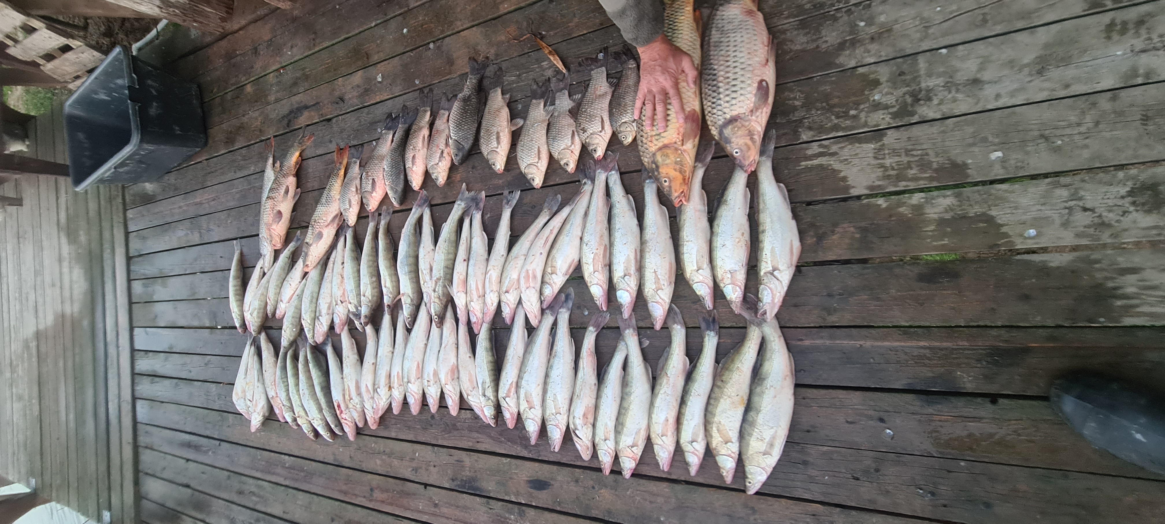 Фото Дом в дельте