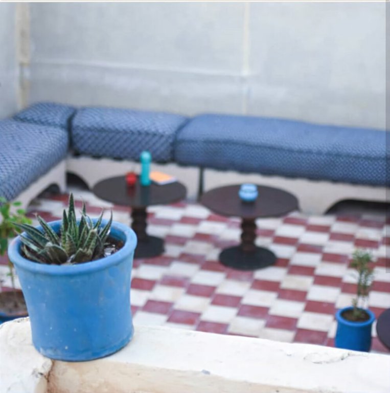 Фото Seagulls Hostel