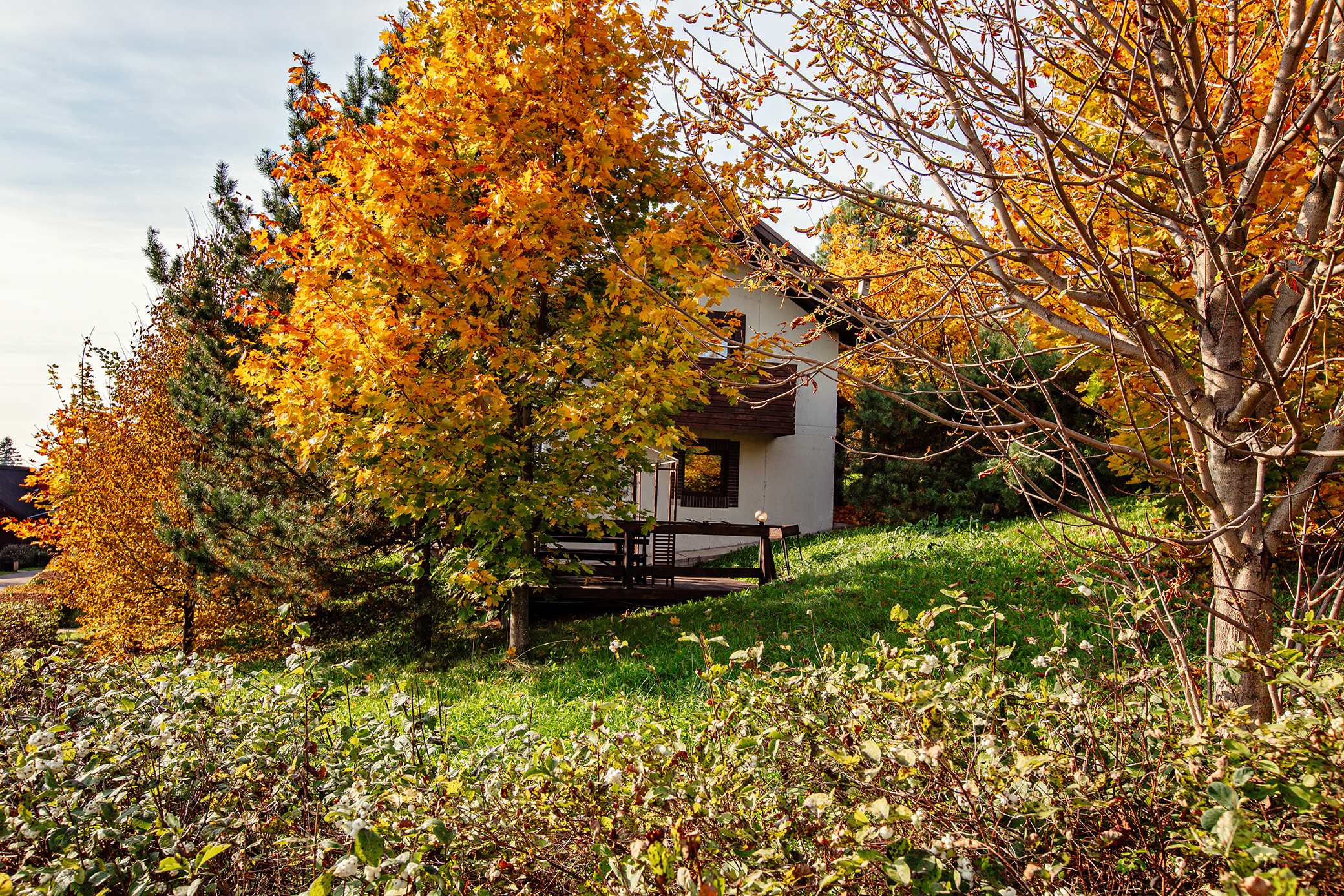 Фото Свежий ветер