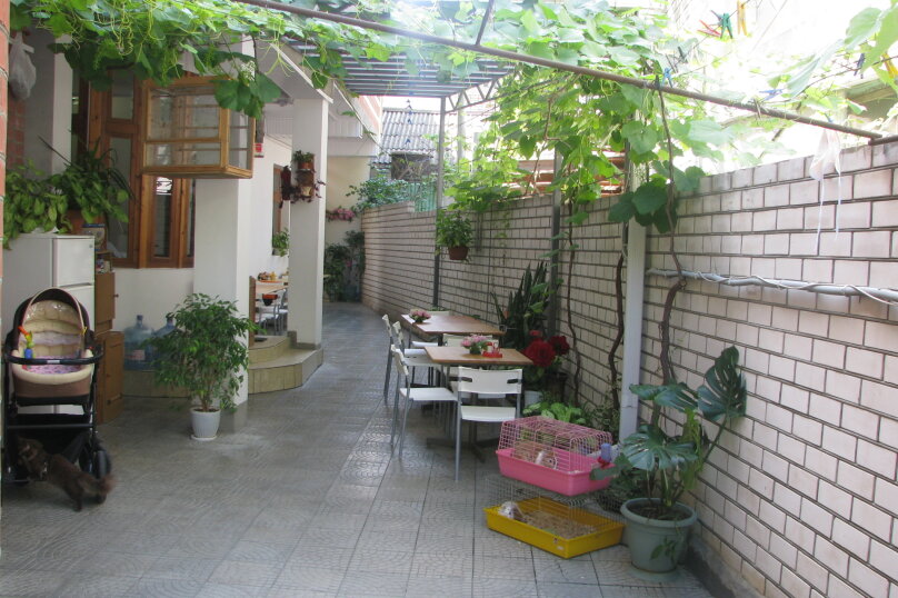 Фото Континенталь