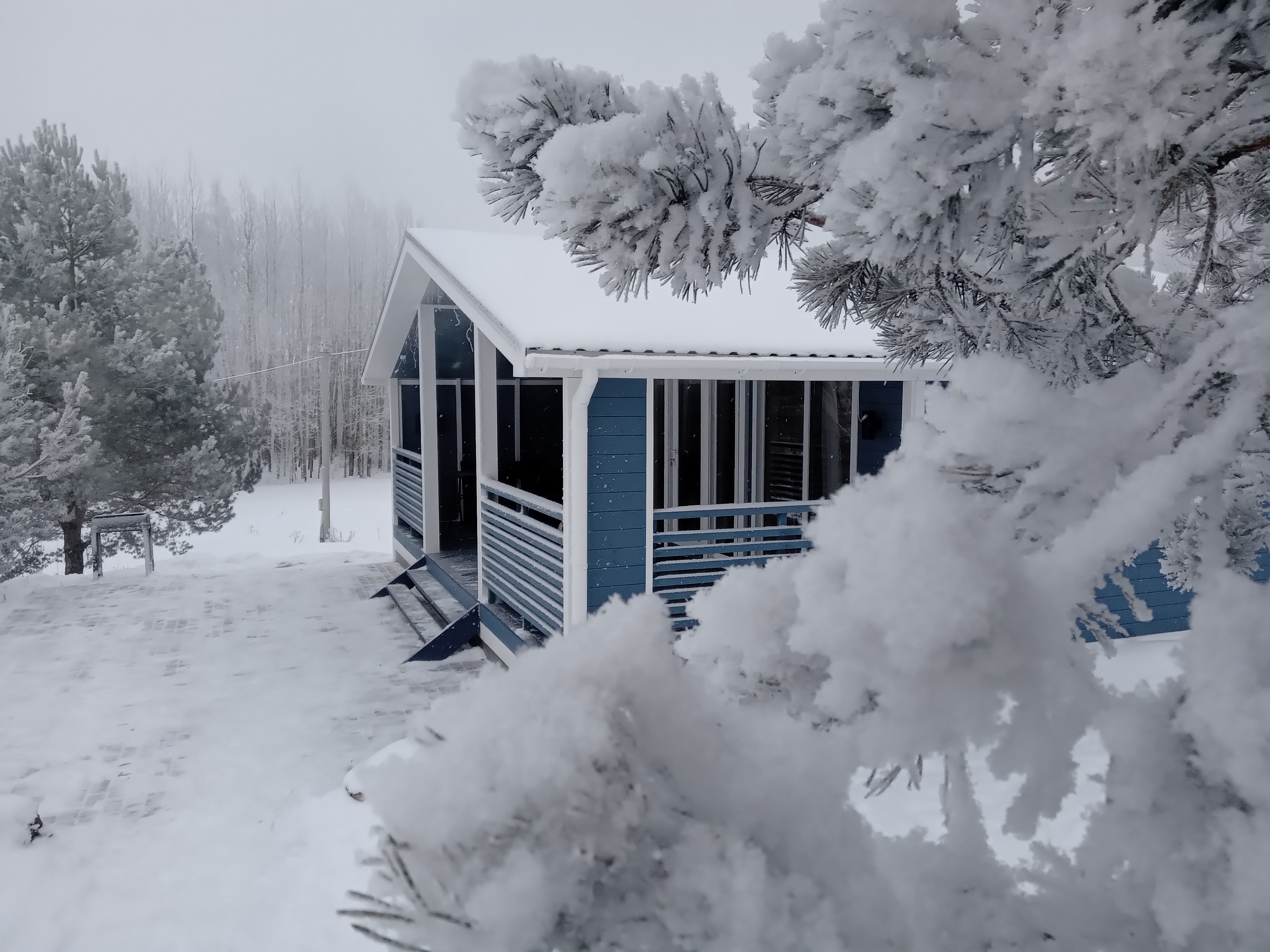 Фото Березовый хутор