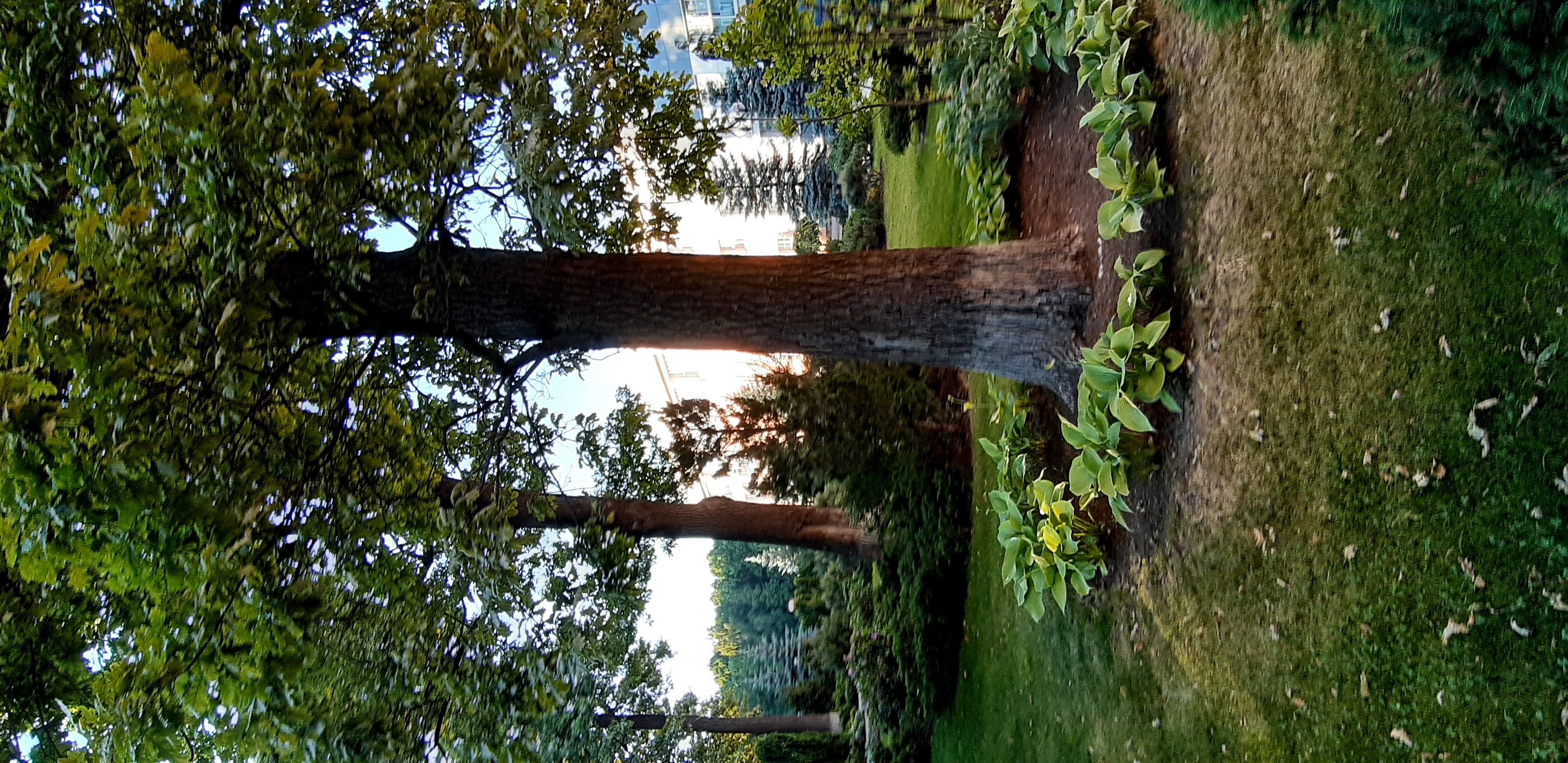 Фото МГИМО Отель