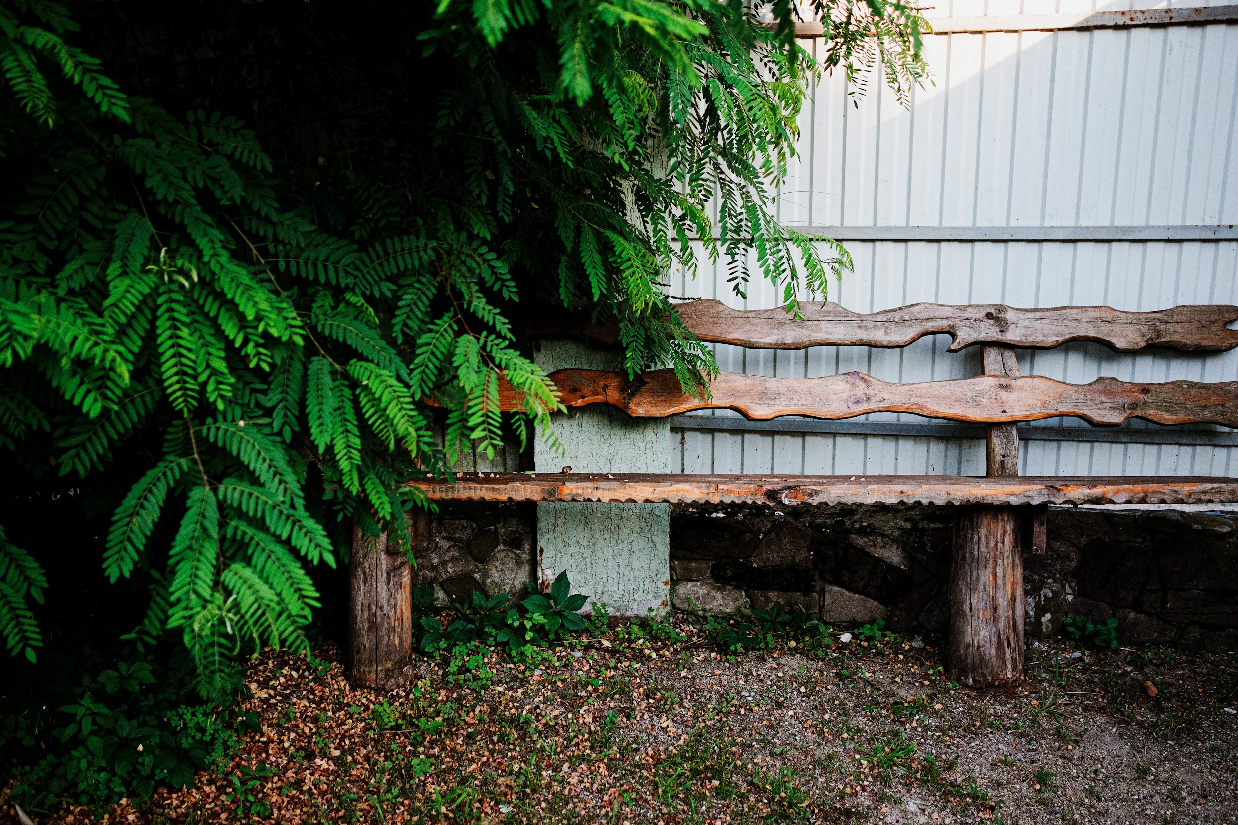 Фото Курочка Ряба