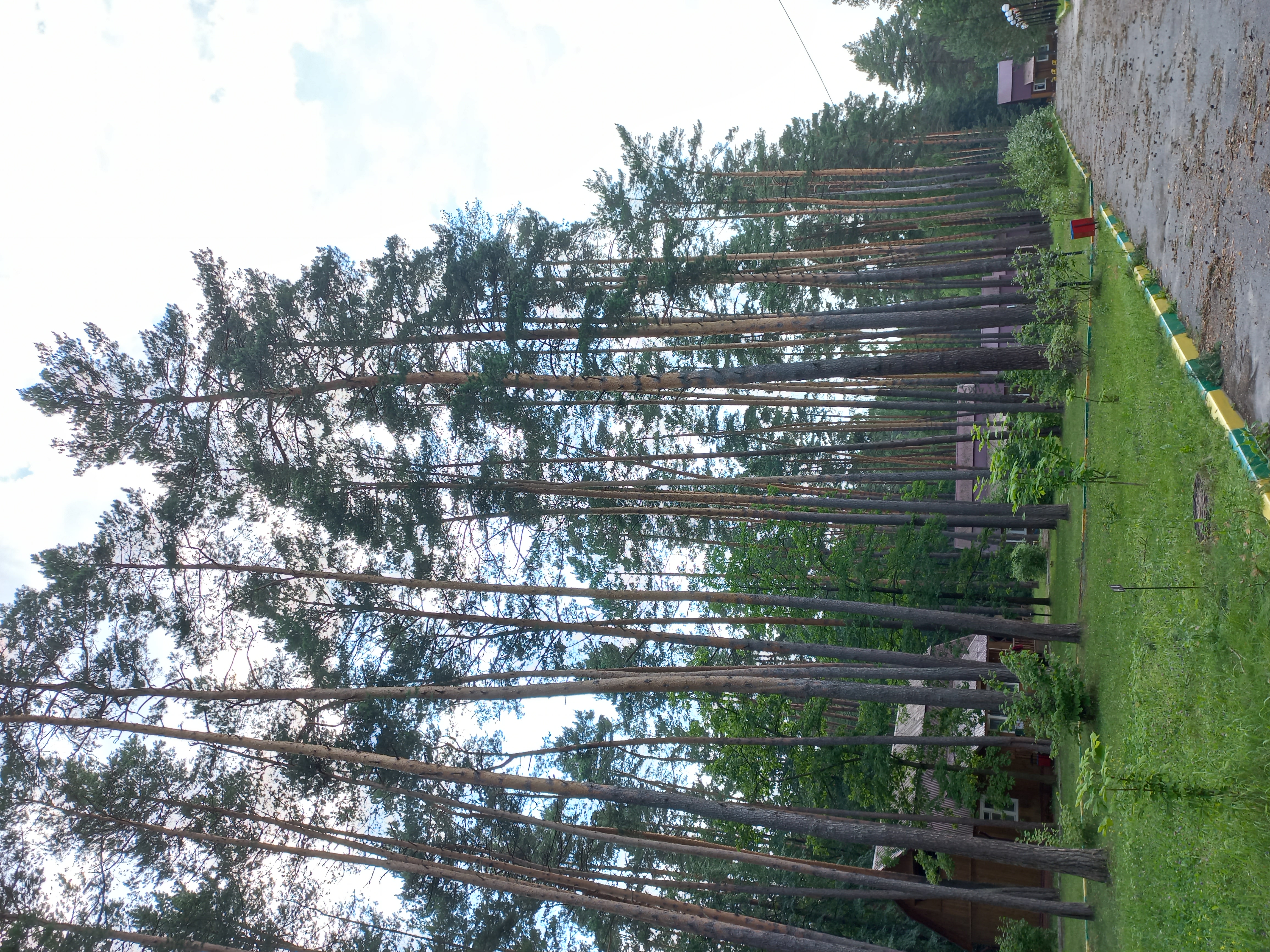 Фото Премьера