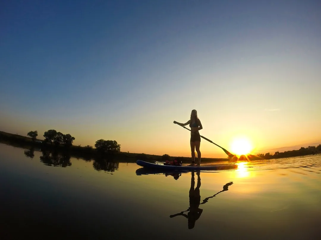 Фото Вереск