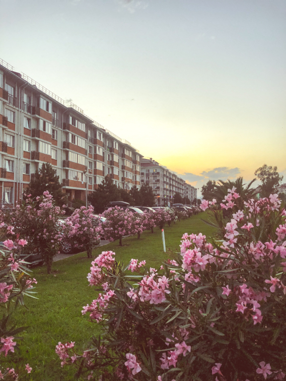 Фото Спортивный Квартал