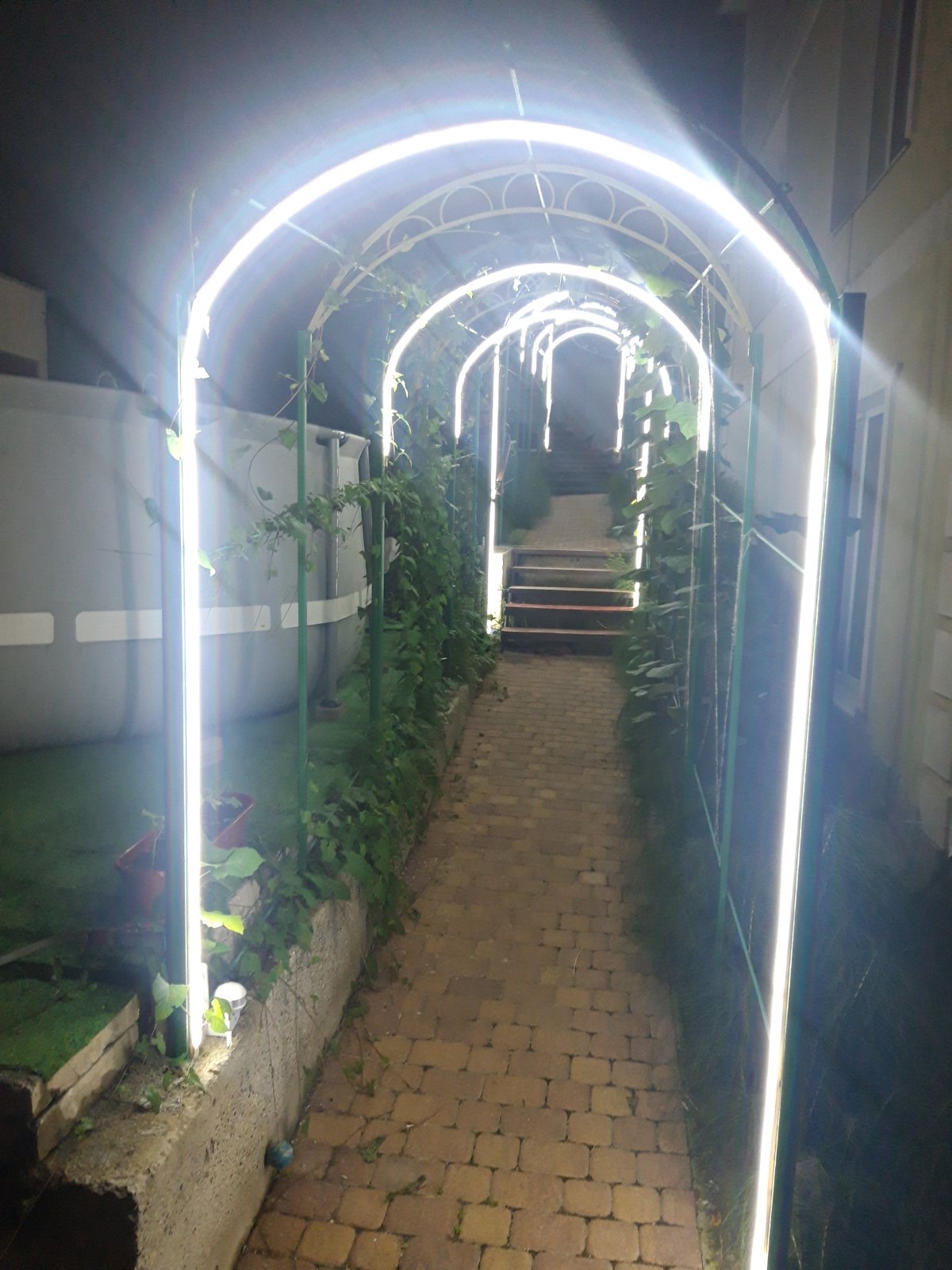 Фото Амалтея