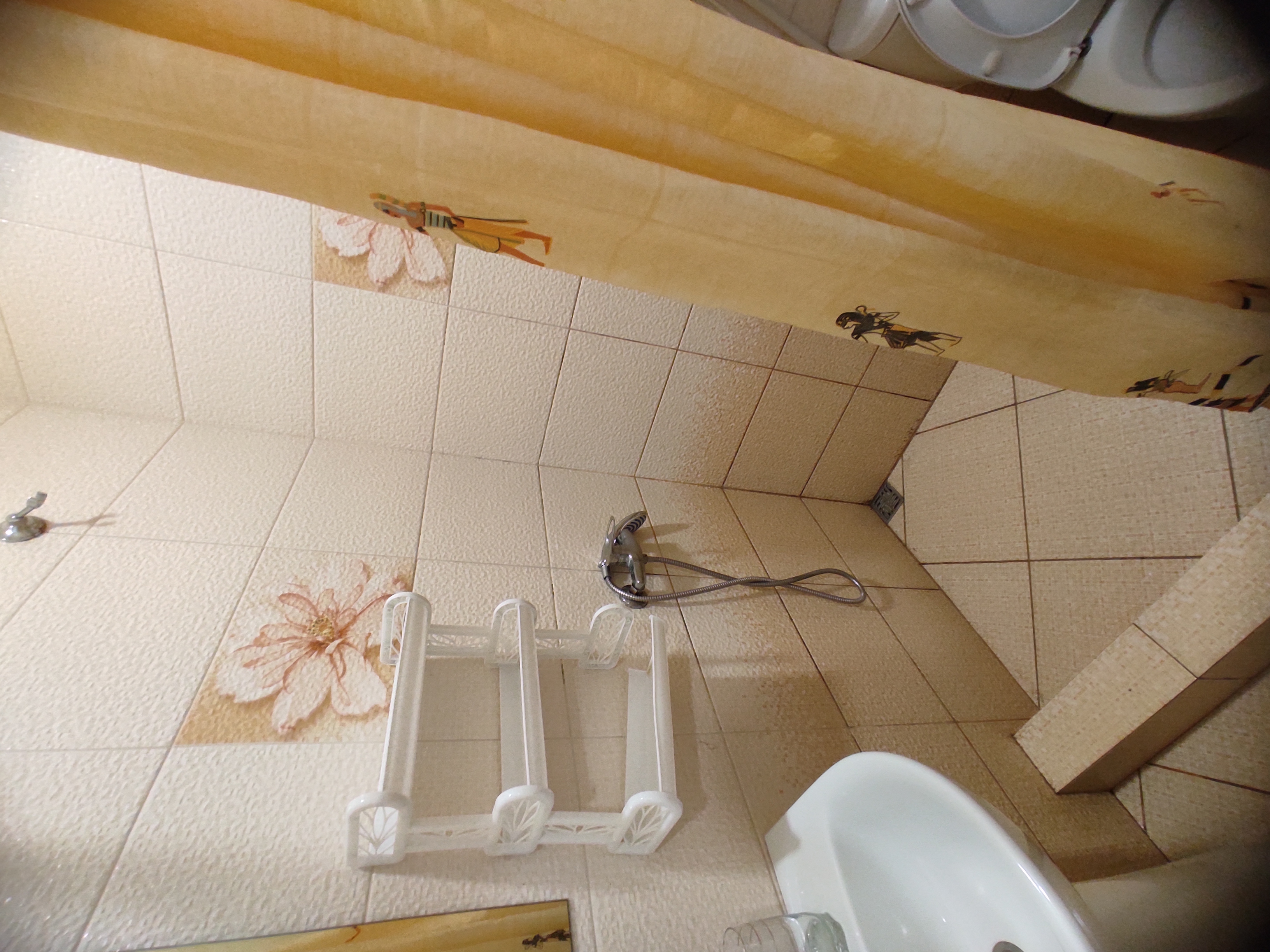 Фото У Елены