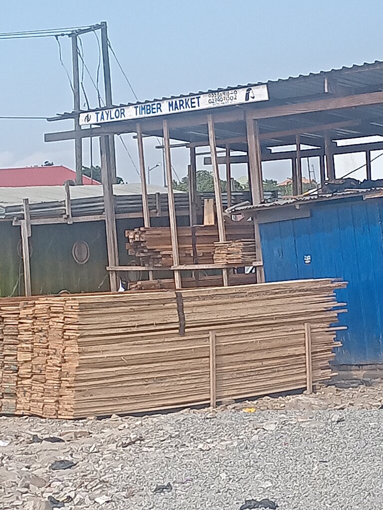 Logging, timber sales Taylor timber market, Earth, photo