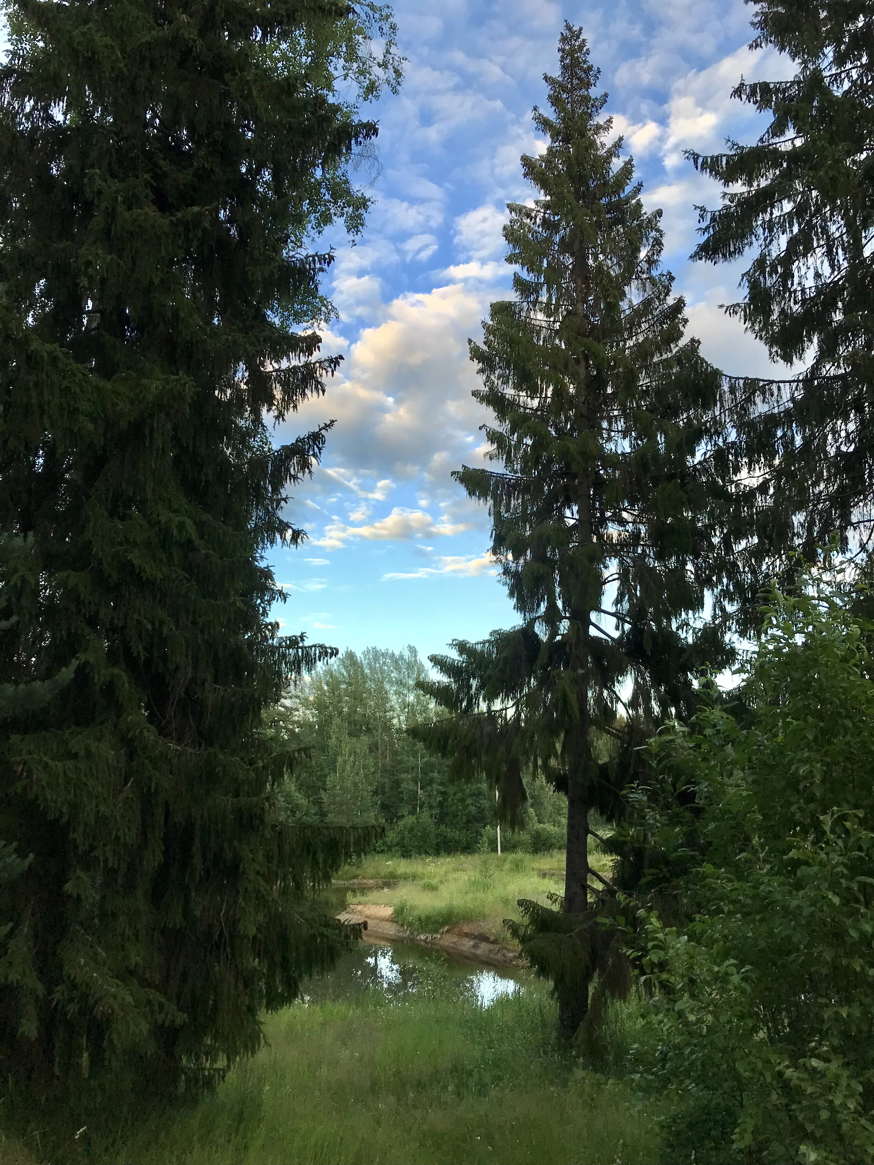 Фото Щучье озеро