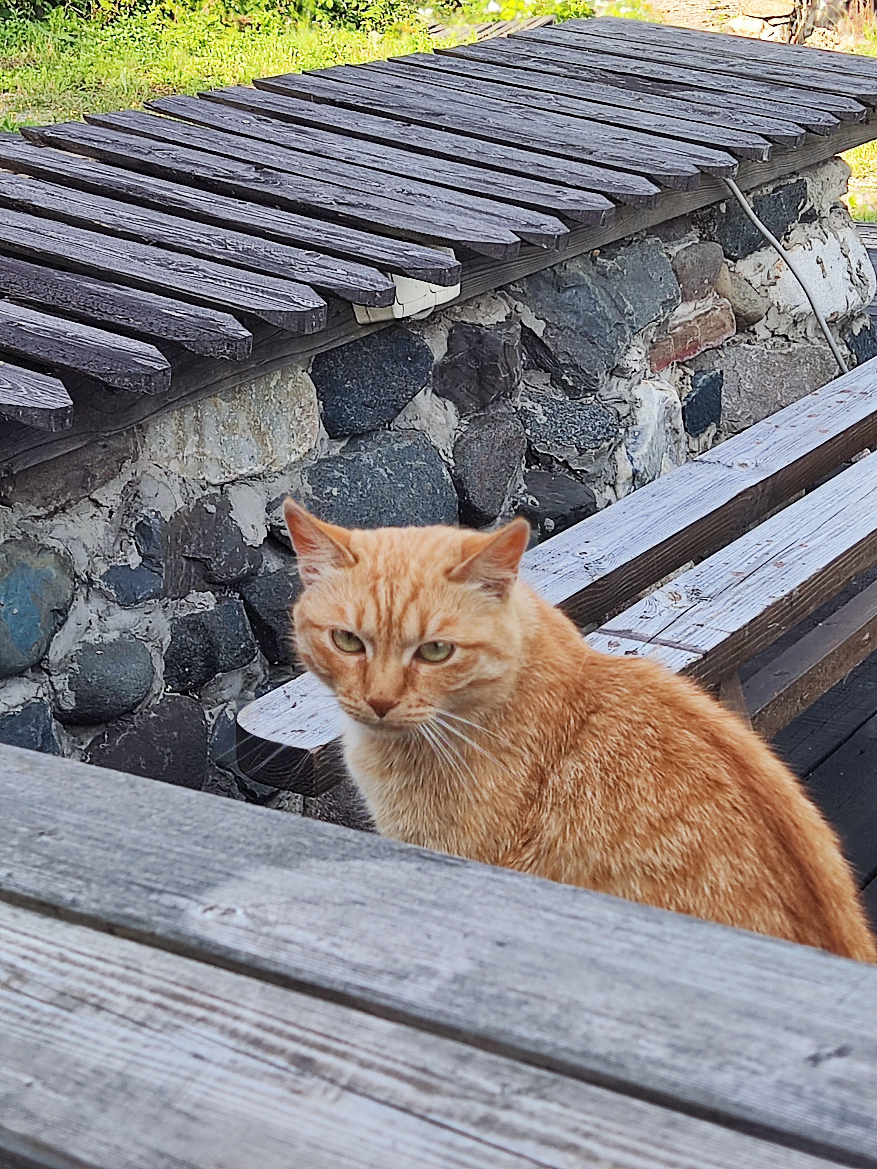 Фото Карельская усадьба