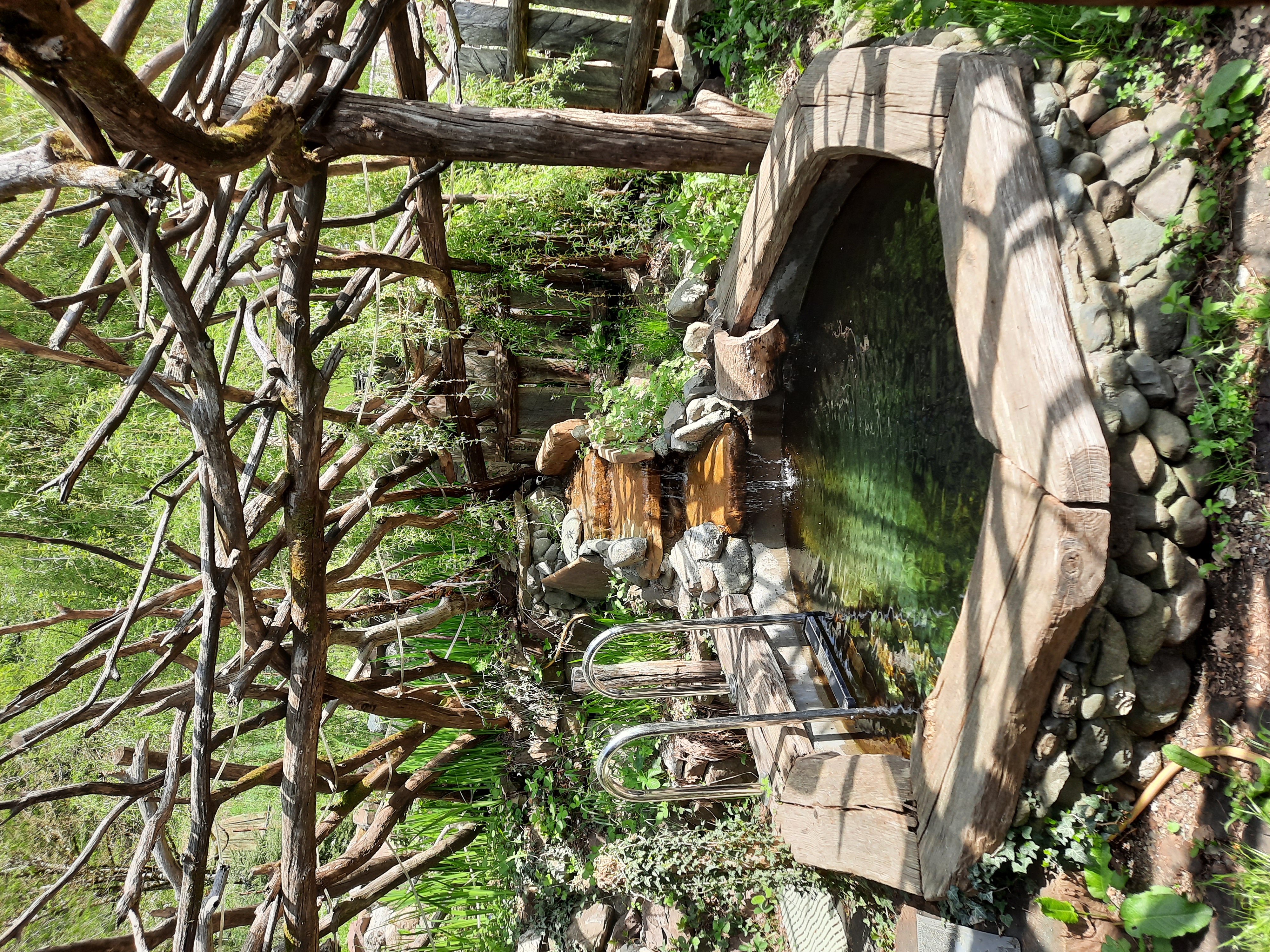 Фото Добрый Дом