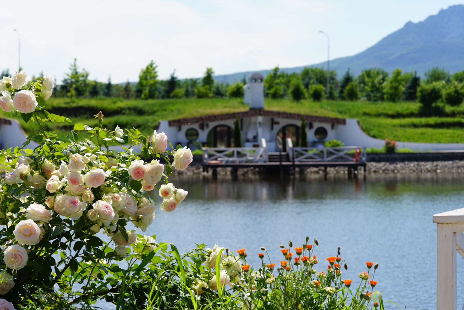 Фото Хоббит Тон