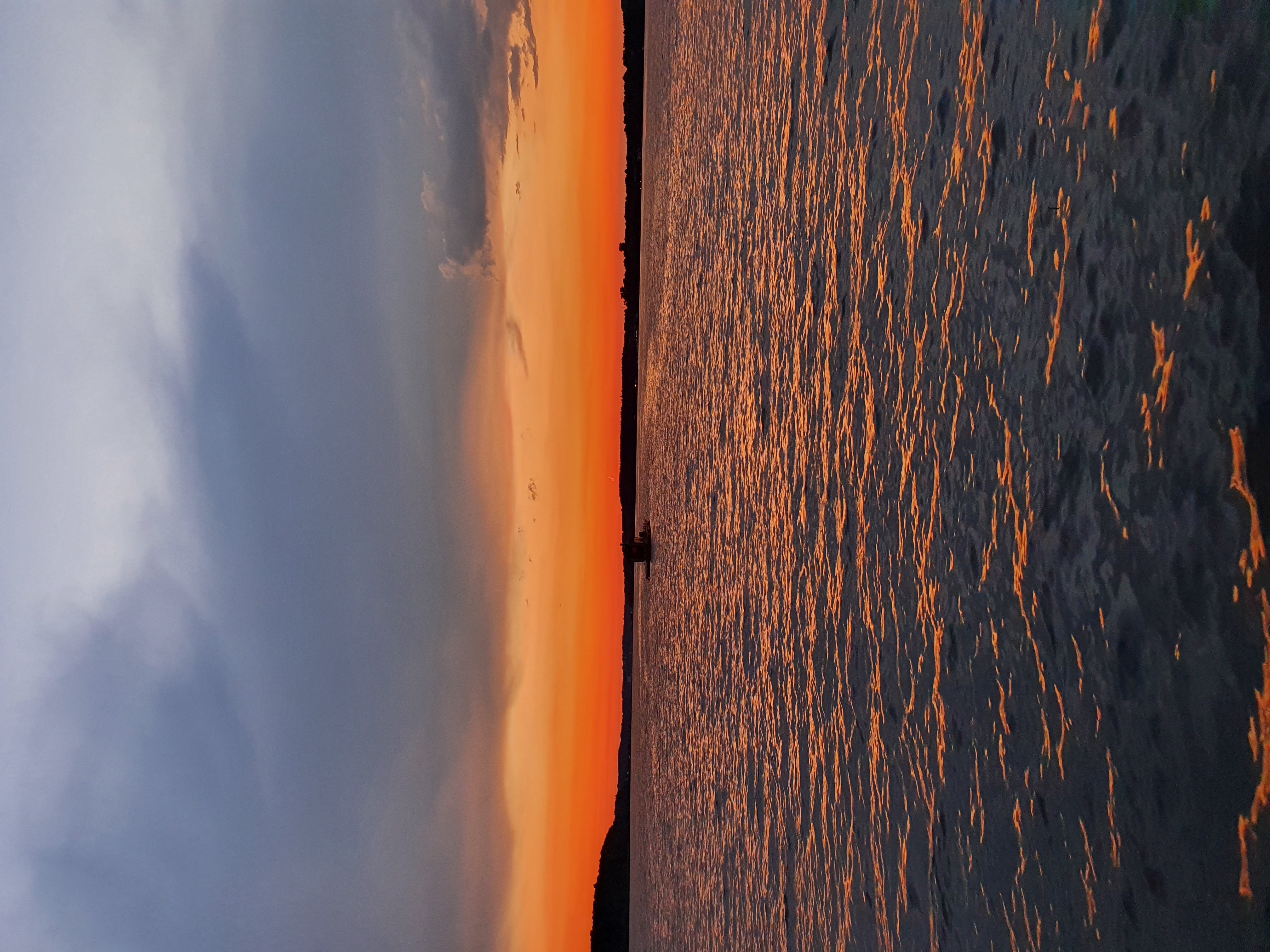 Фото На даче