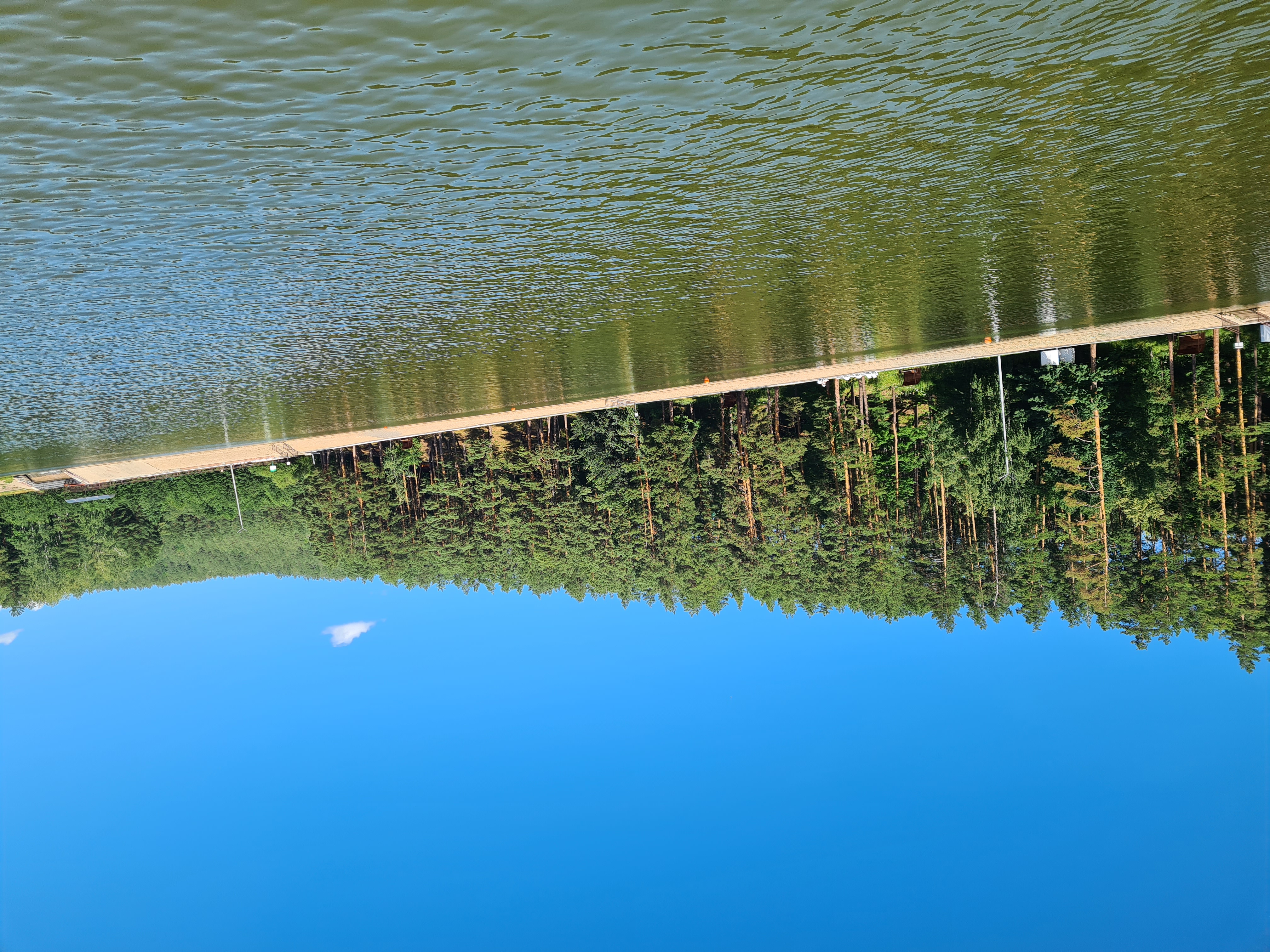 Фото Ромашкино