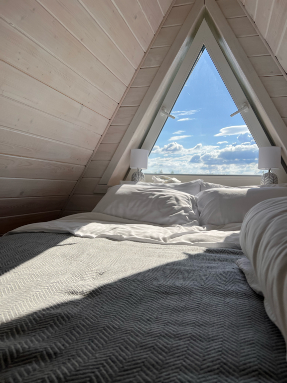 Фото Лес и небо