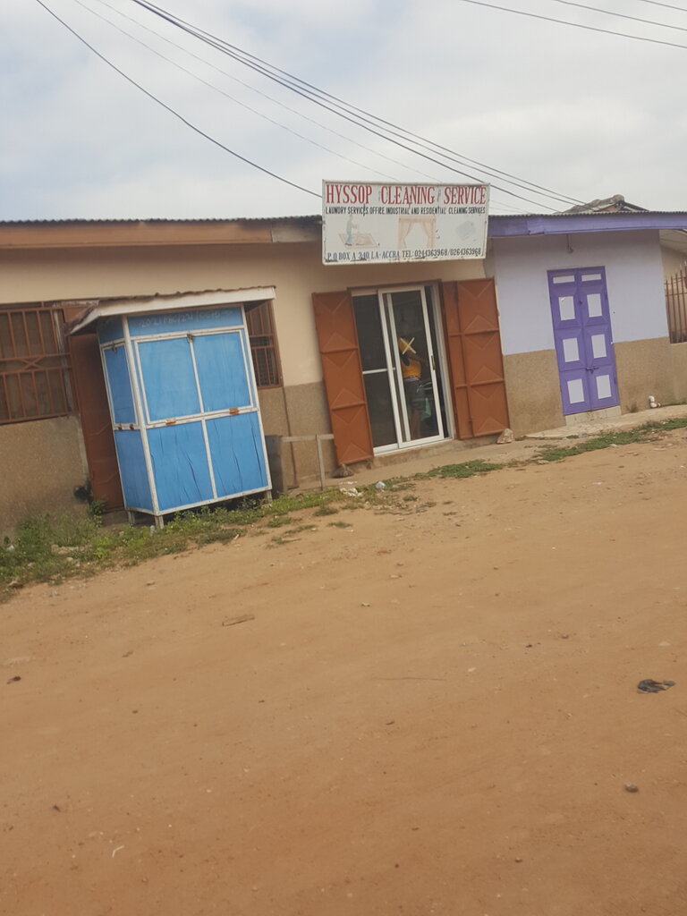 Cleaning services Hyssop Cleaning services, Earth, photo