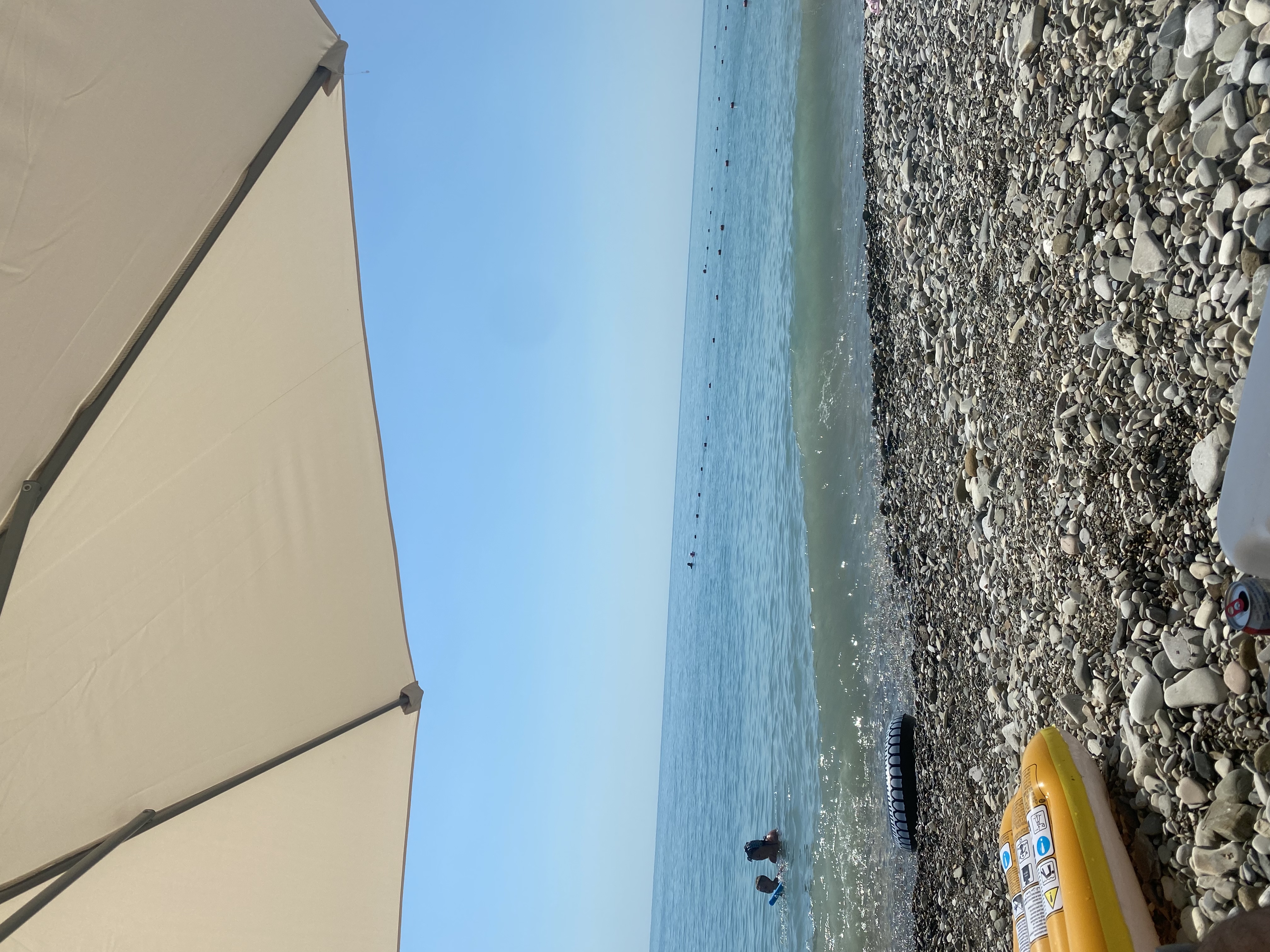 Фото Дружба