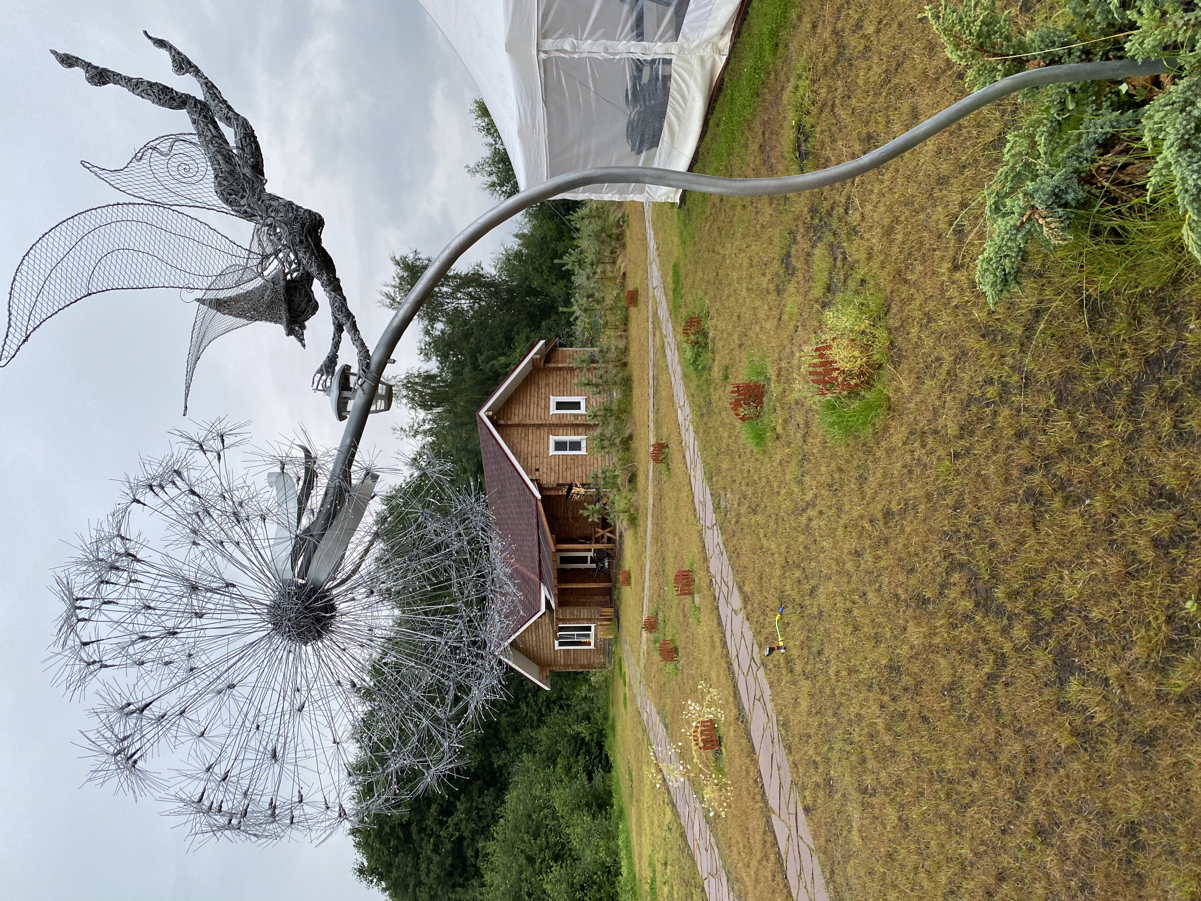 Фото Крокус