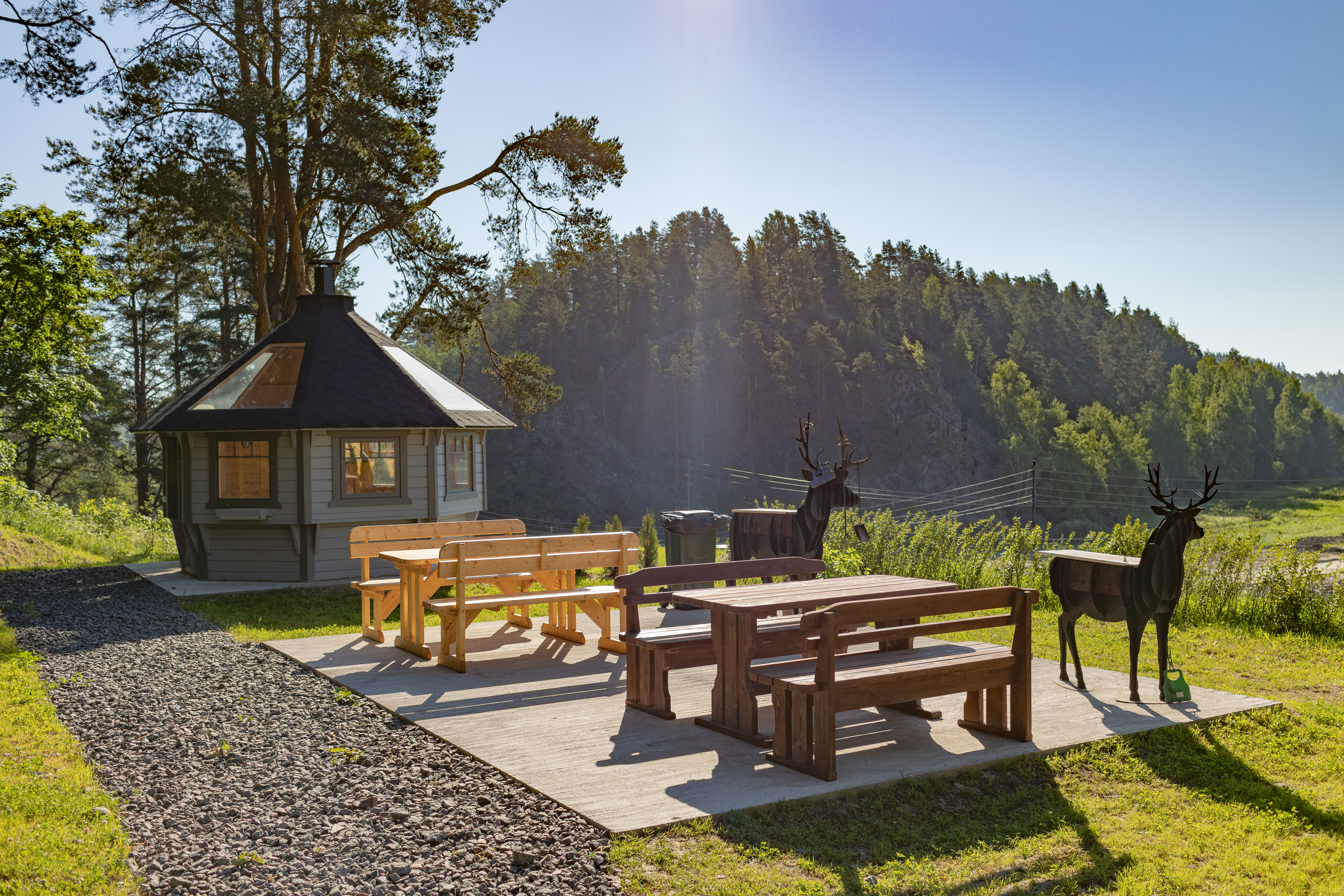 Фото Терве Ранта