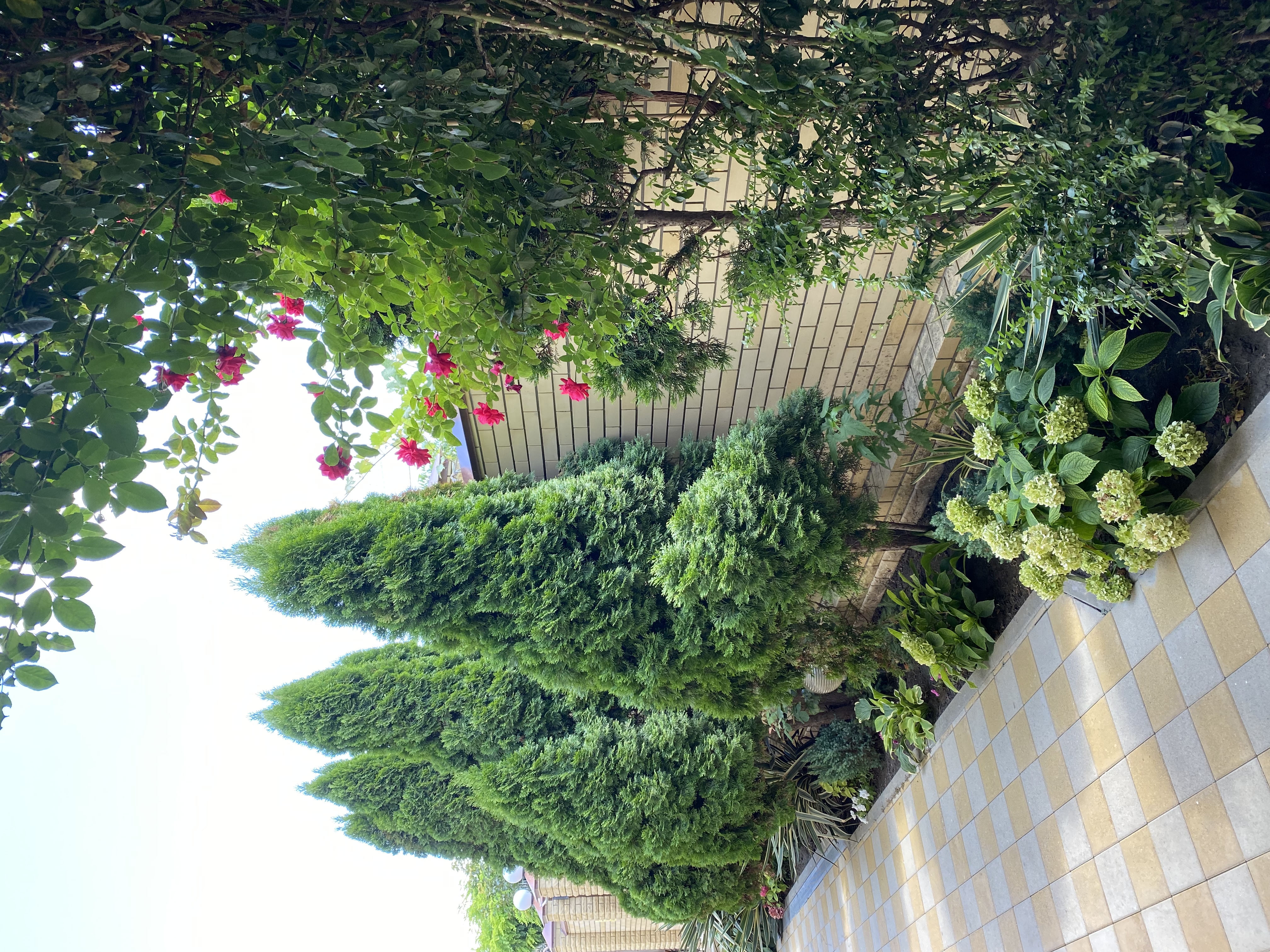 Фото Астория