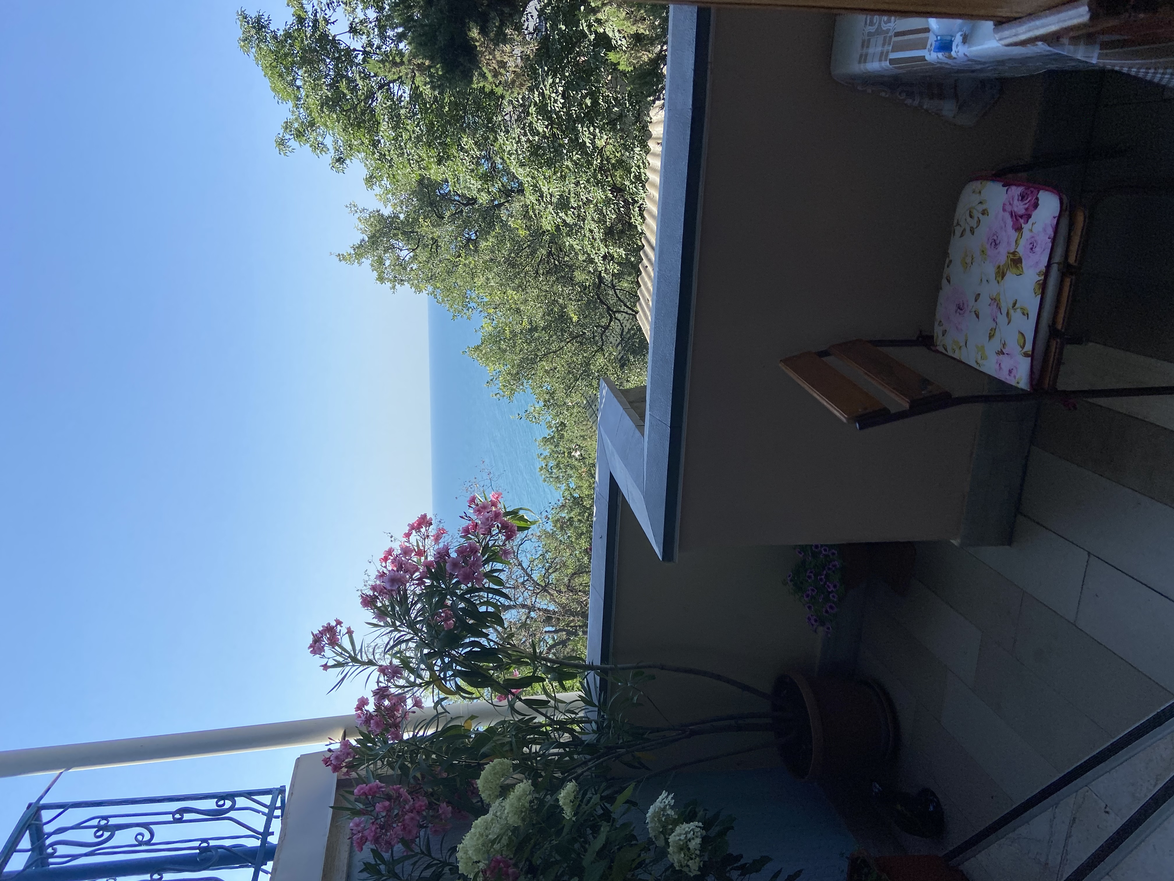 Фото Лесные дворики