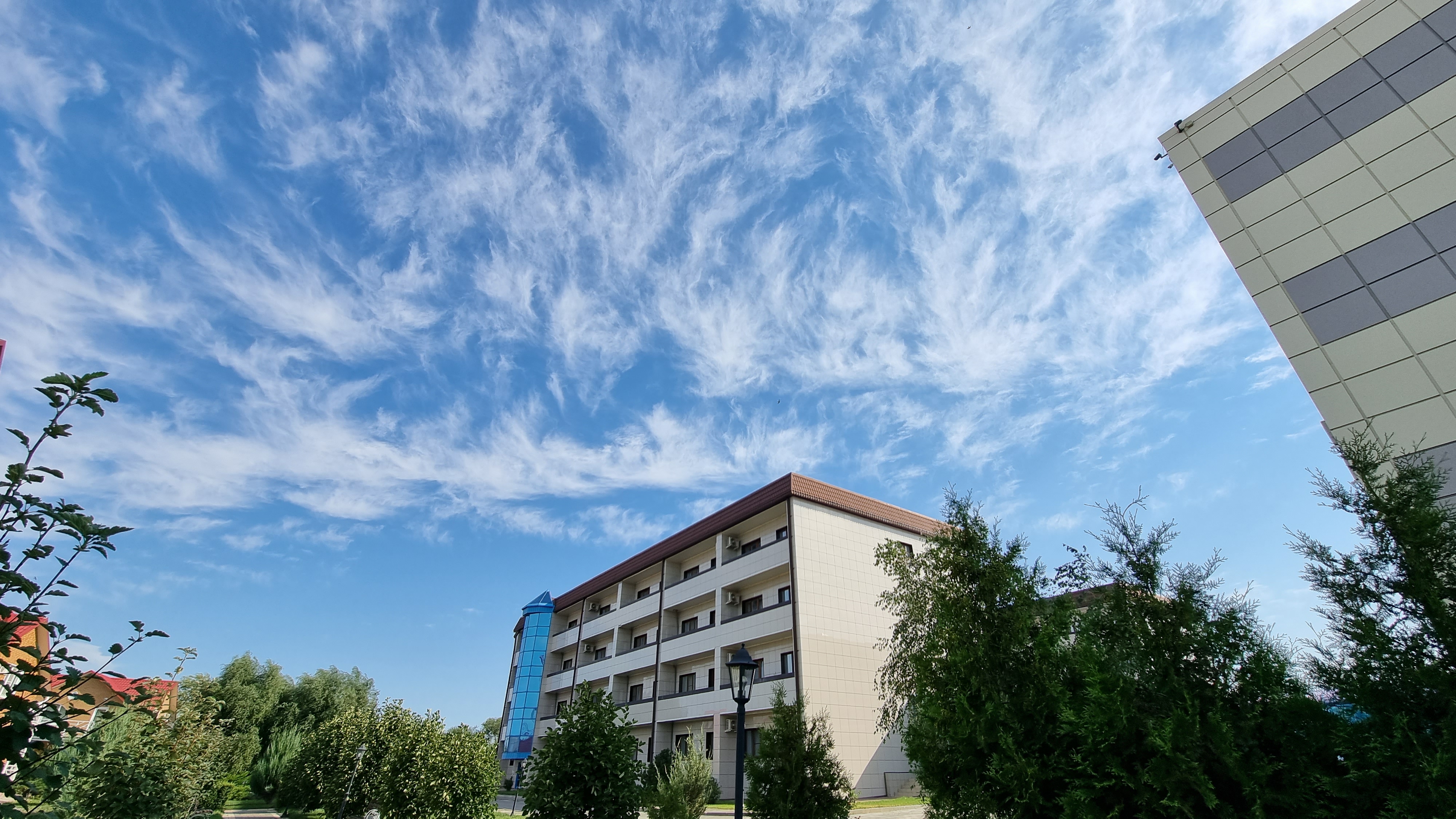 Фото Эльтон