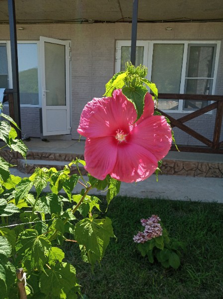 Фото Лукоморье