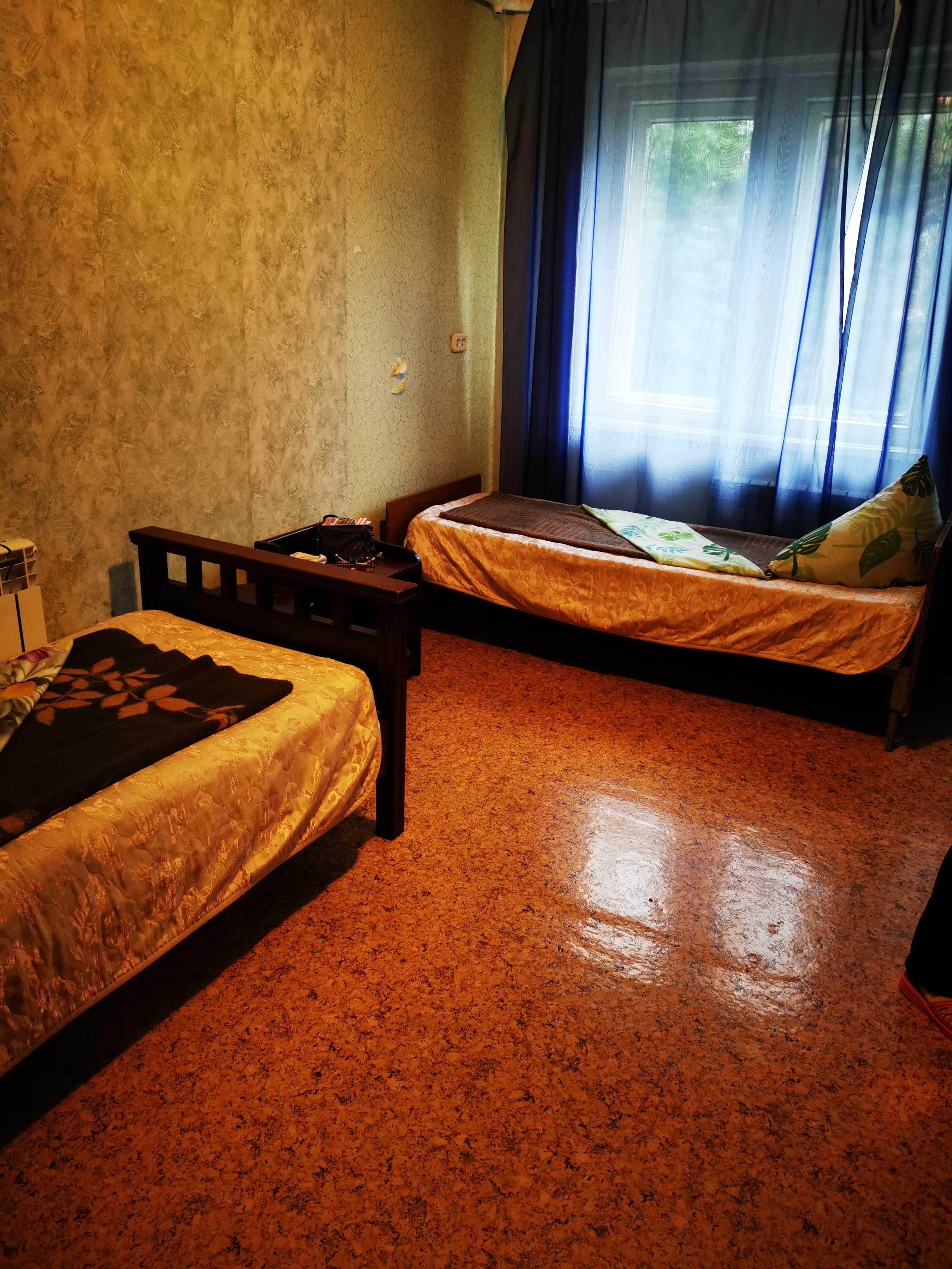 Фото Лесная сказка