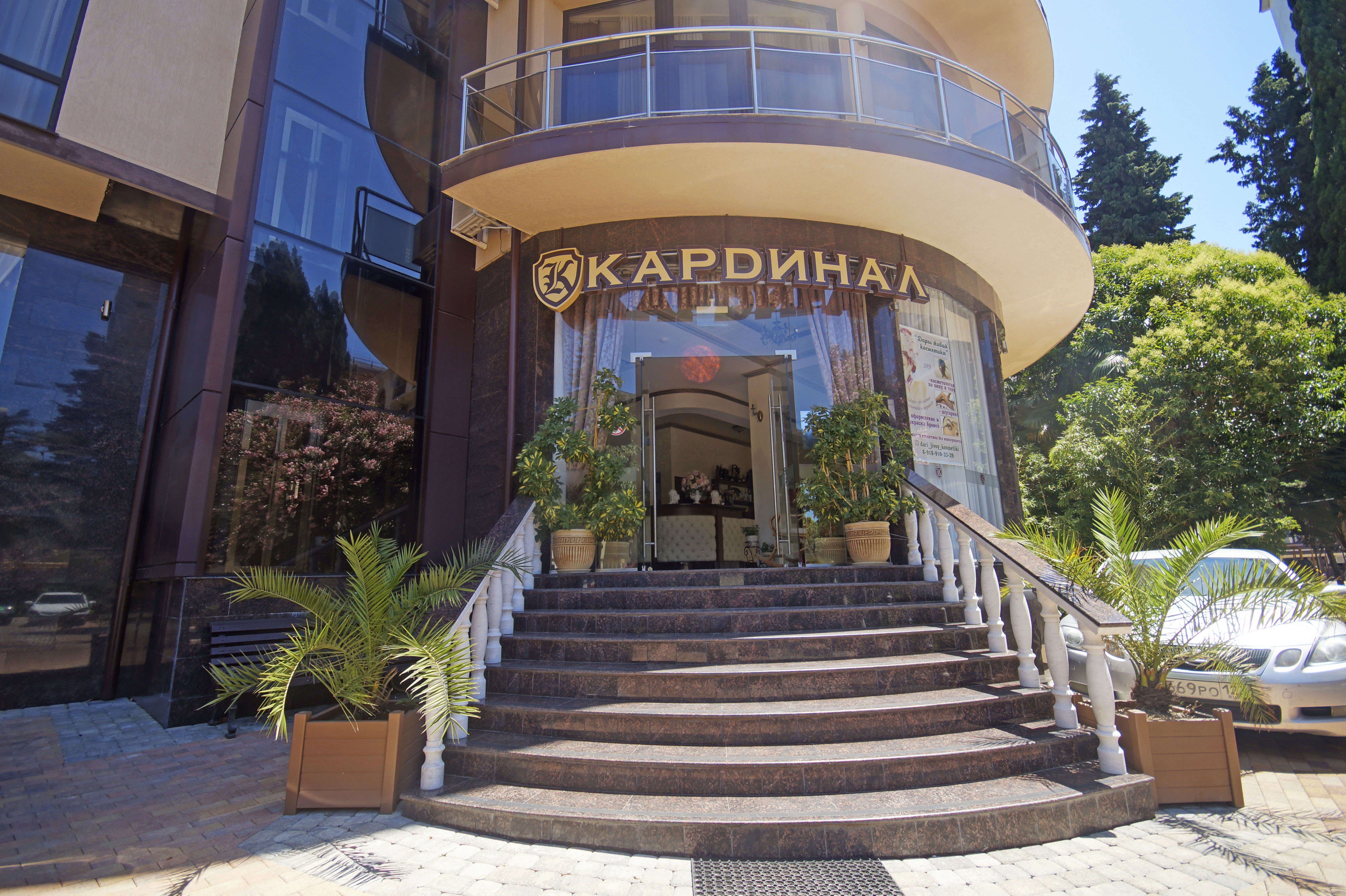 Фото Кардинал