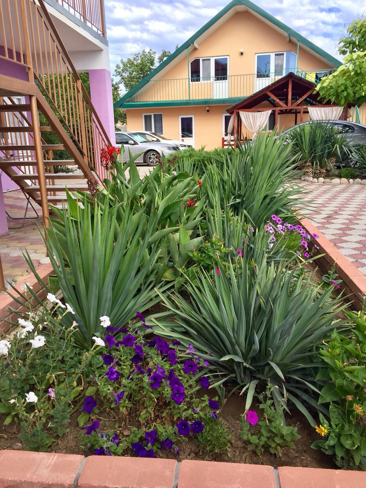 Фото Фортуна