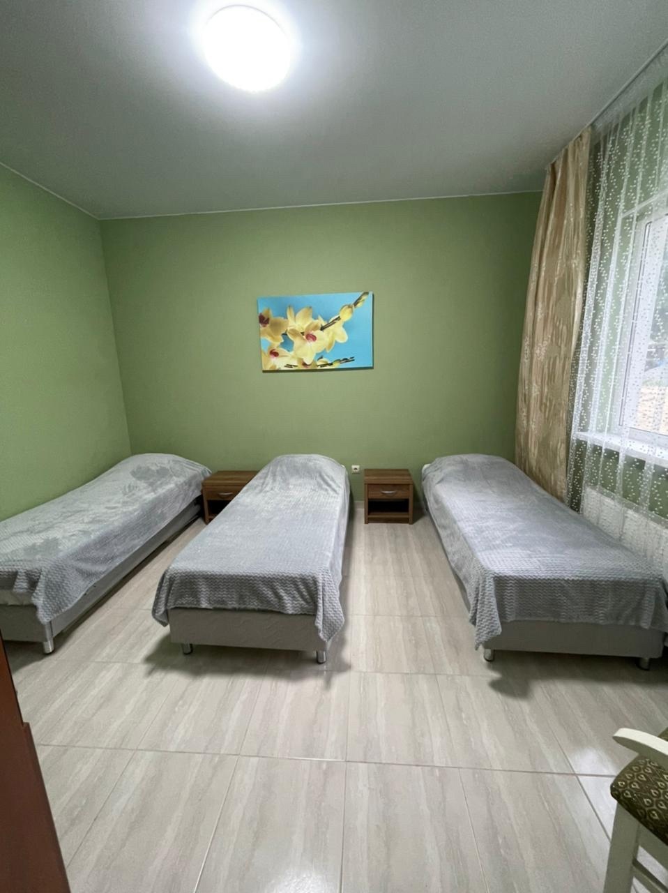 Фото Ромашка