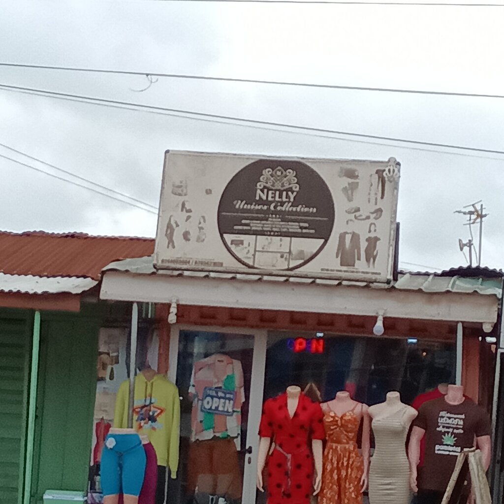 Business center Nelly unisex collections, Earth, photo