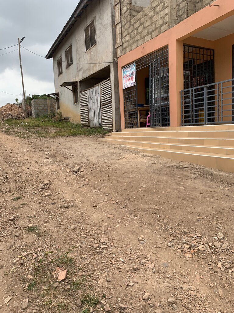 Grocery Tina Mart, Earth, photo