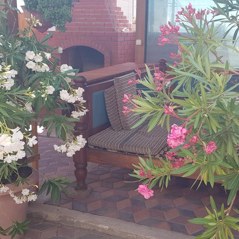 Фото Сапсан