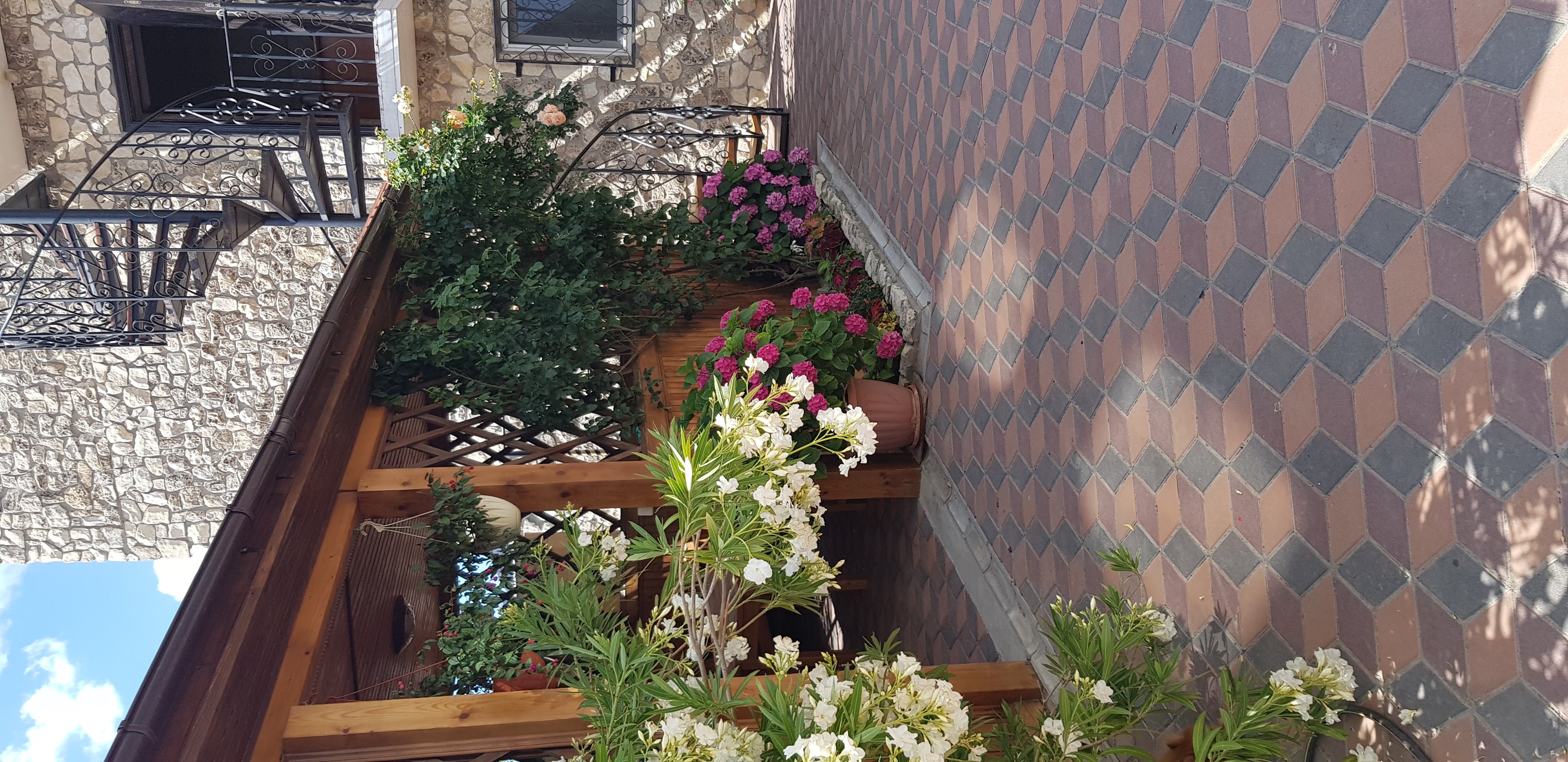 Фото Сапсан