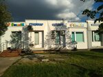 Veterinary clinic Vasilek (Skulptora Mukhinoy Street, 13), veterinary clinic