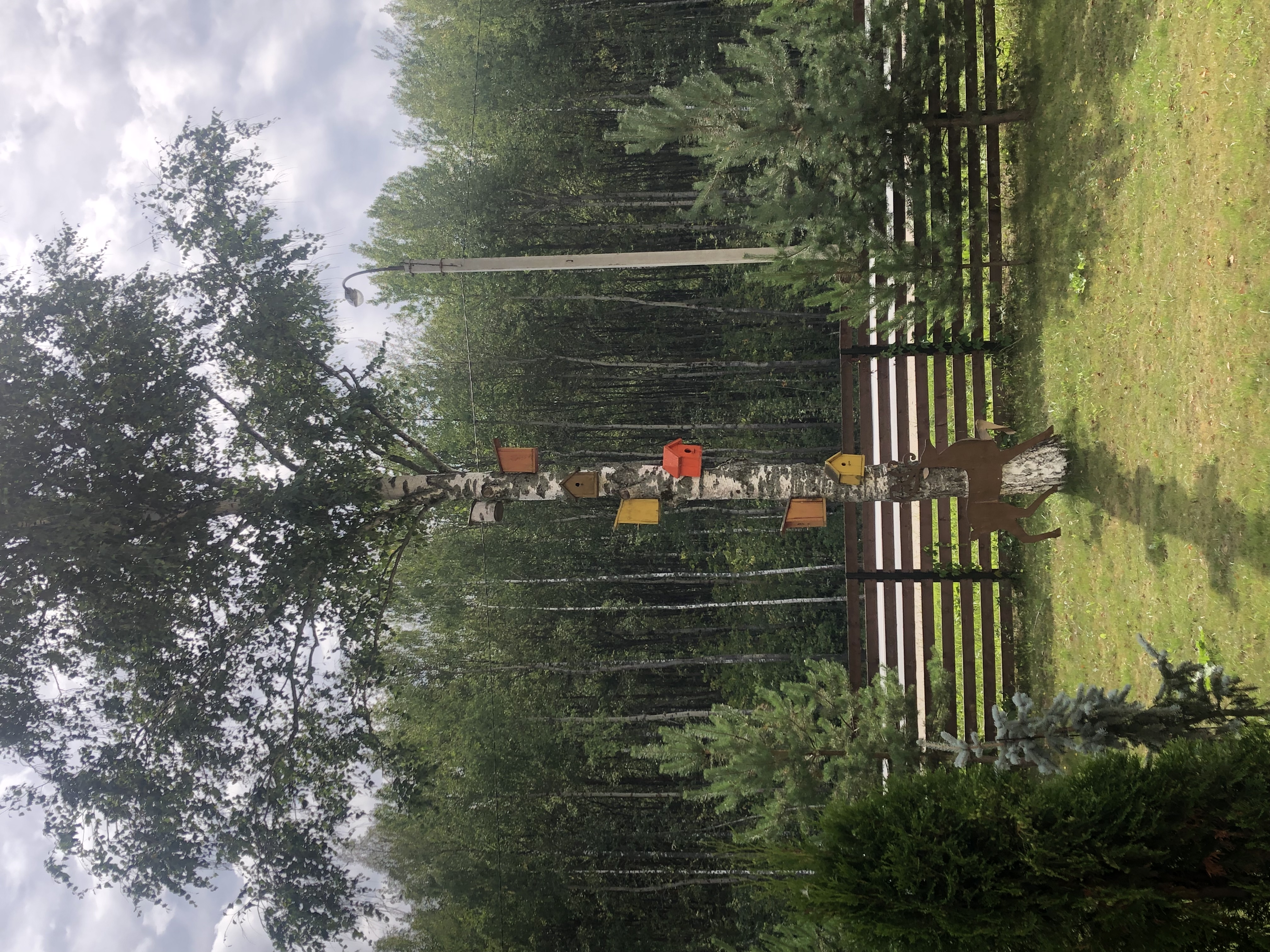 Фото Астра Парк отель