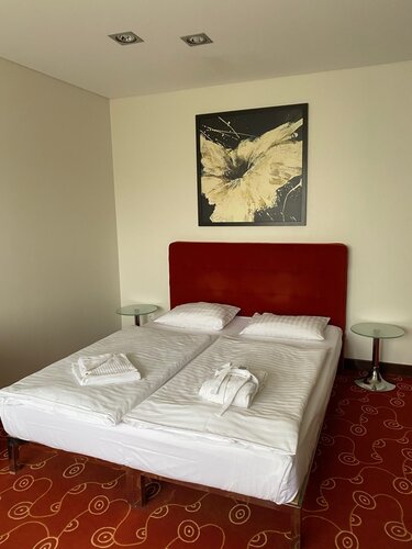 Внешний вид отеля Дона в Калининграде, фото 4