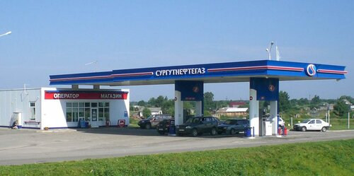 Gas station Surgutneftegaz, Pskov Oblast, photo