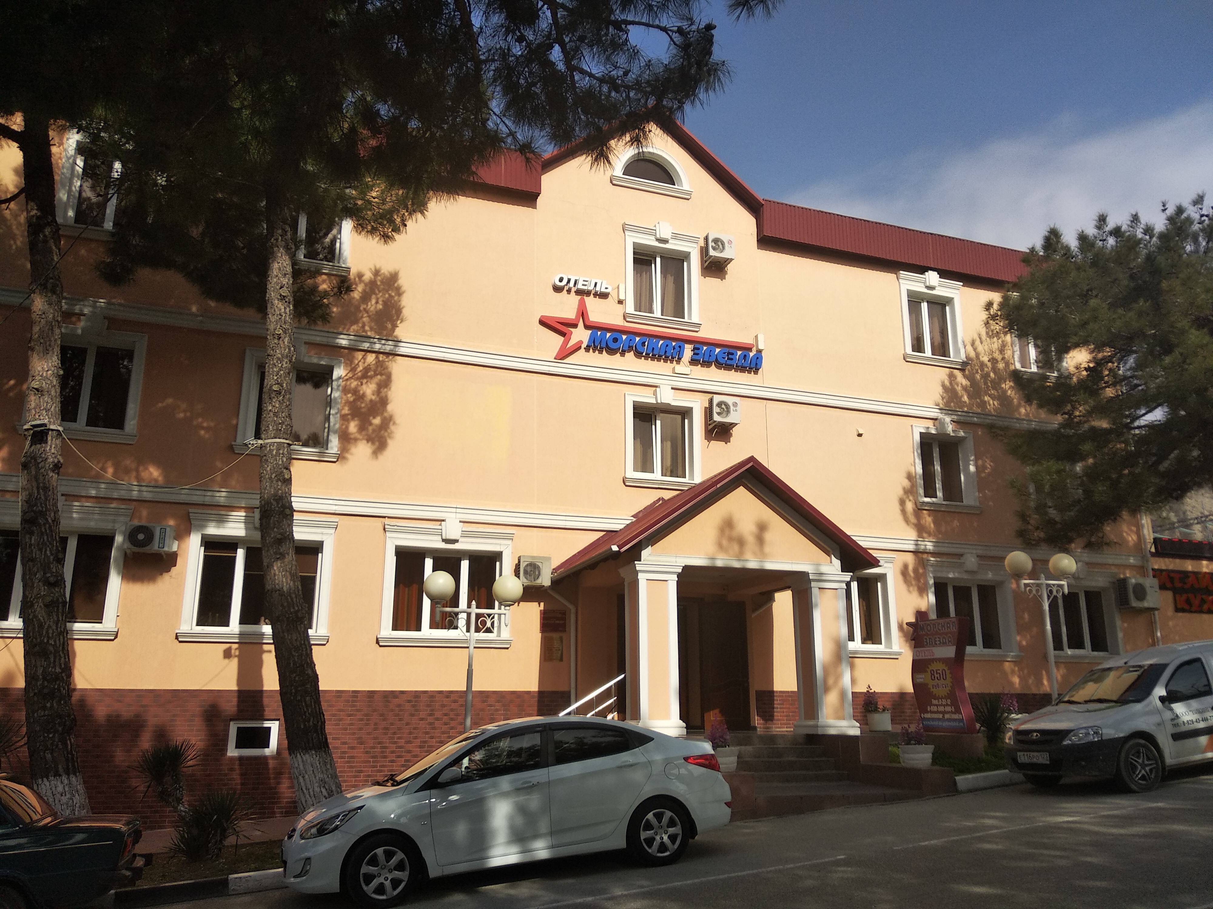 Фото Морская Звезда